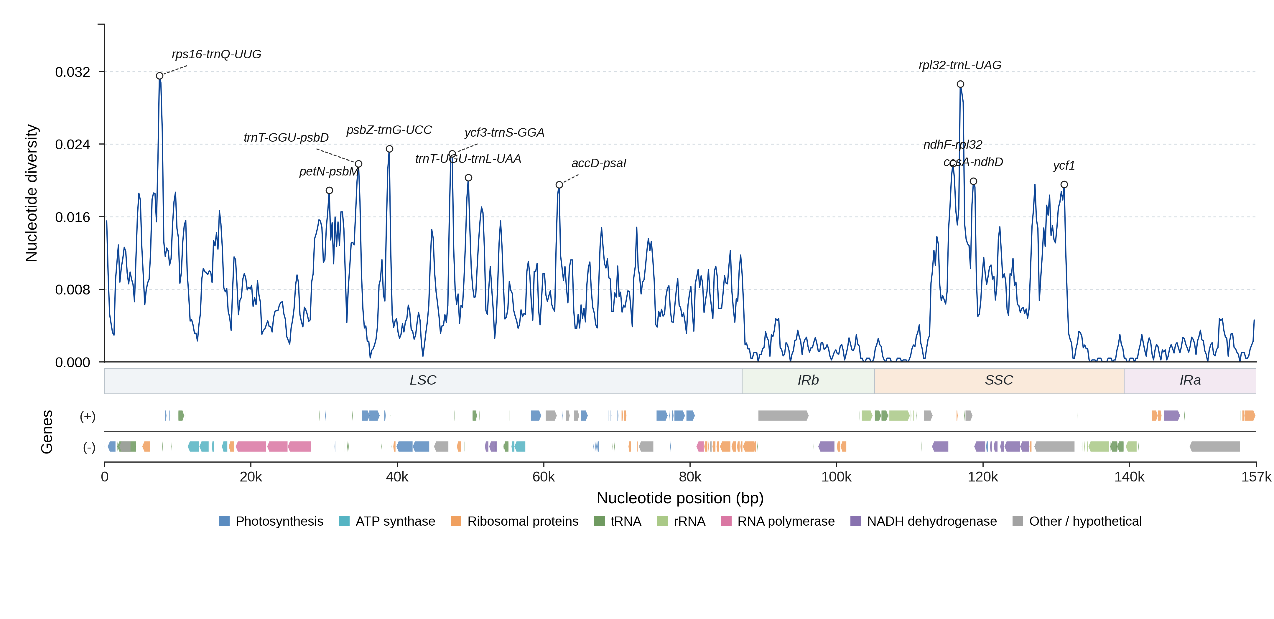 Sliding-window nucleotide diversity