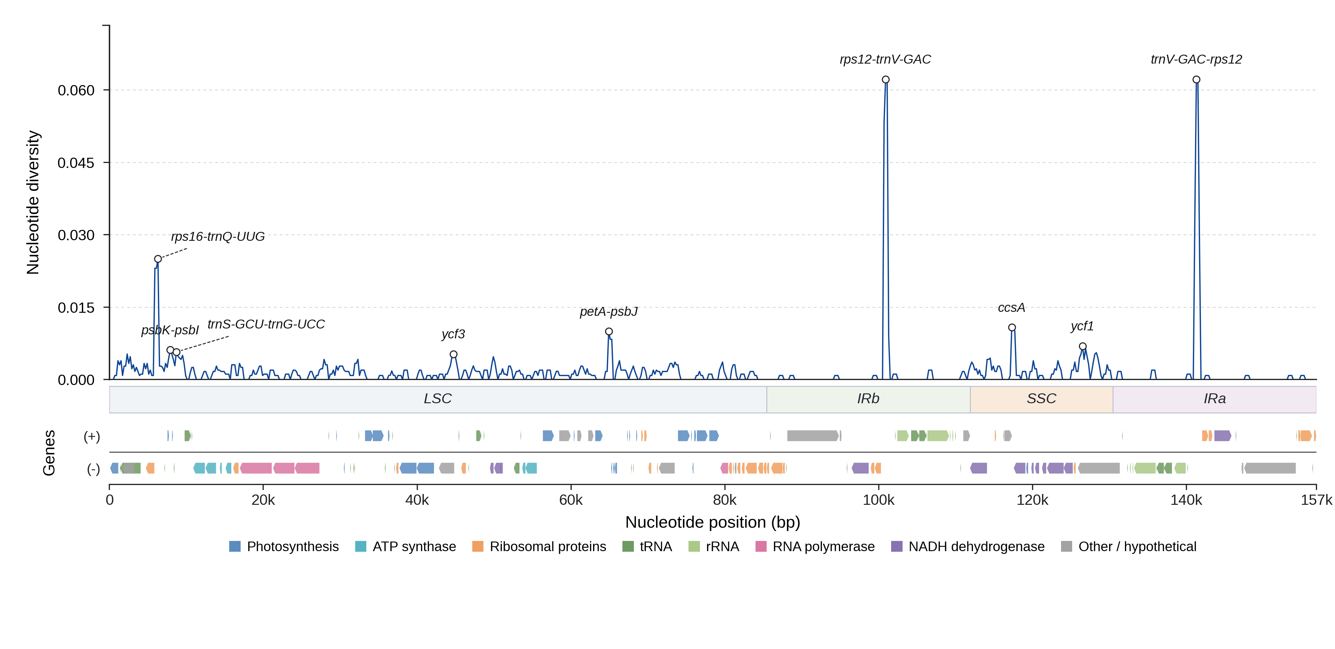 Sliding-window nucleotide diversity