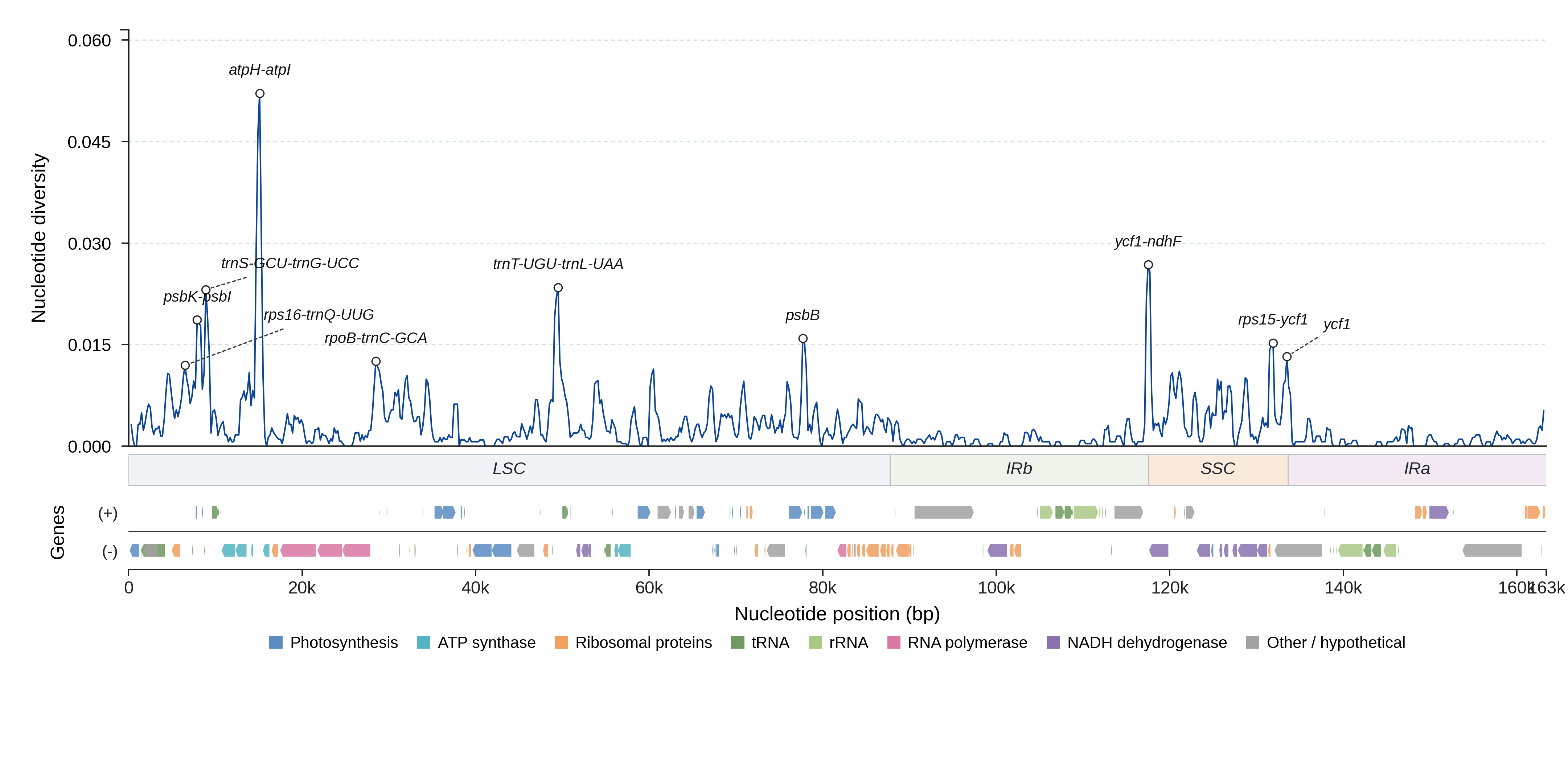 Sliding-window nucleotide diversity