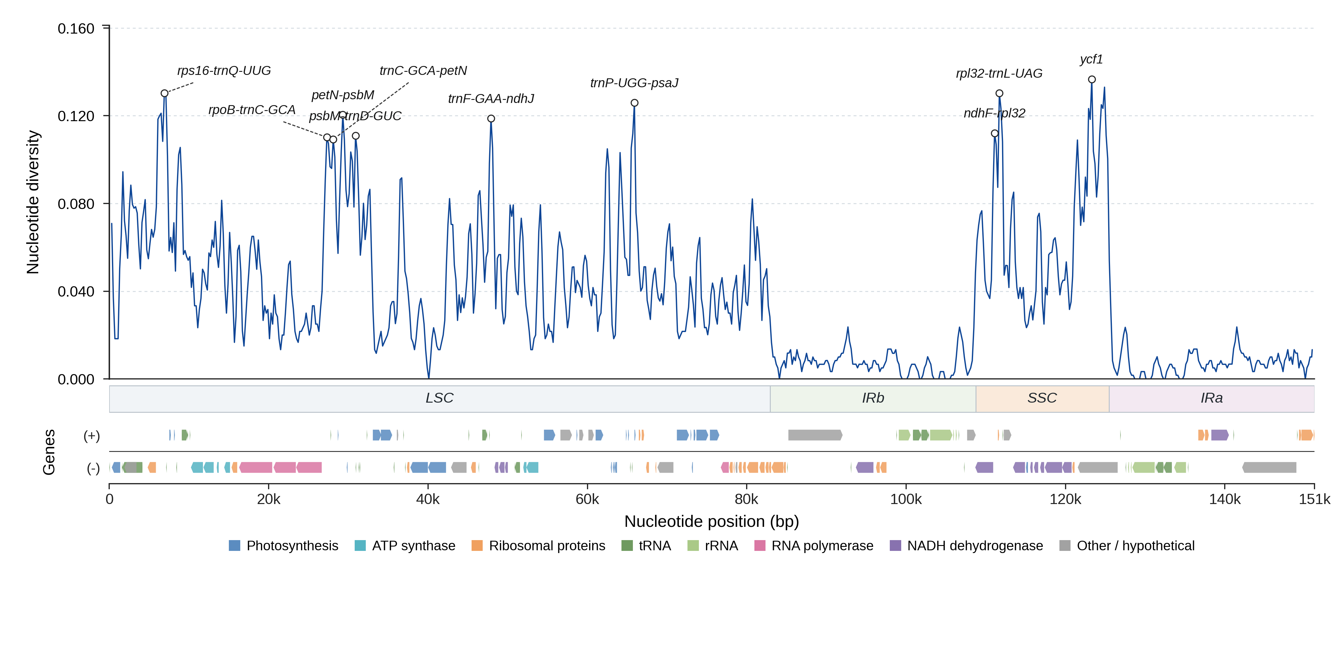 Sliding-window nucleotide diversity