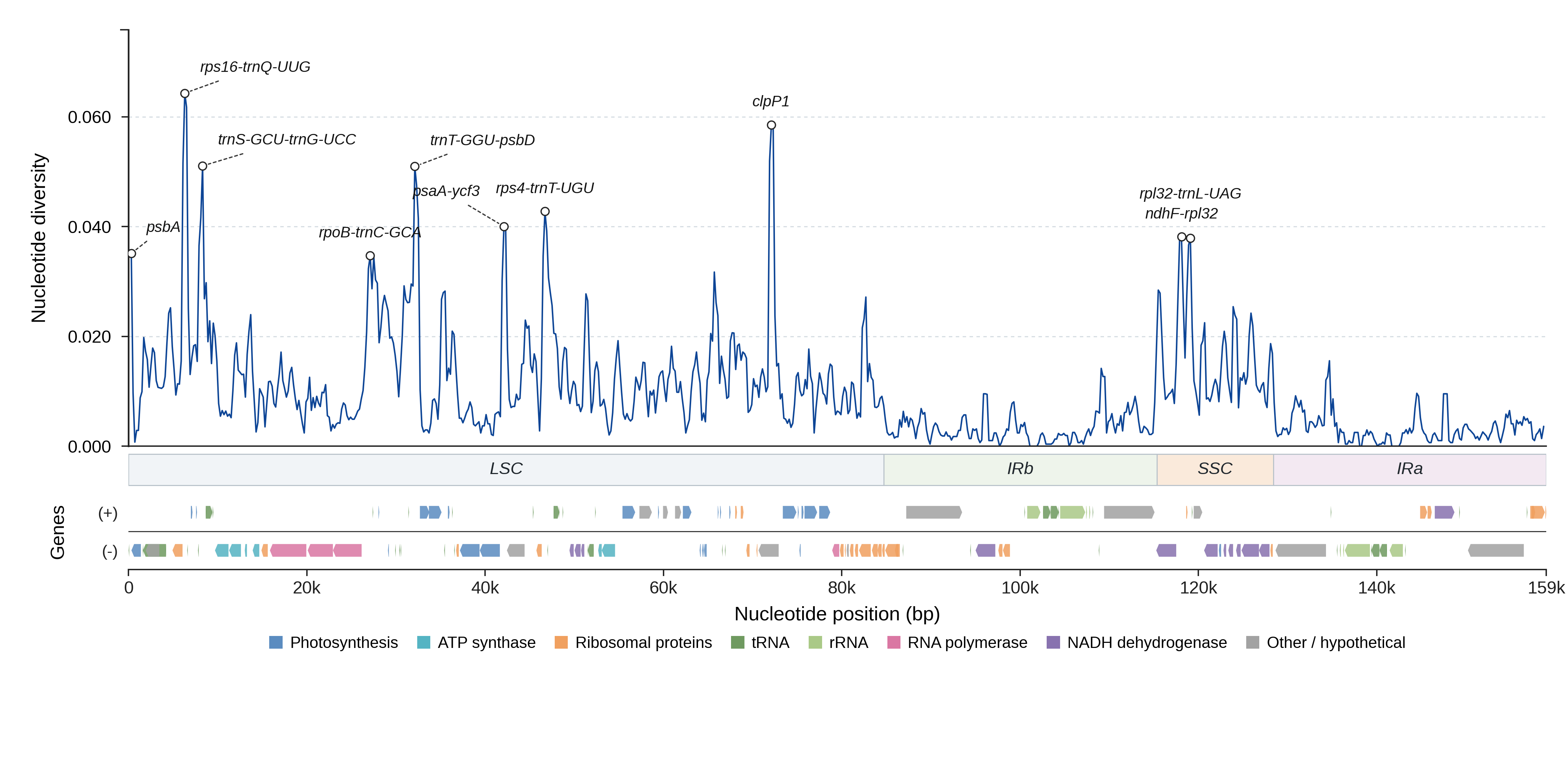 Sliding-window nucleotide diversity