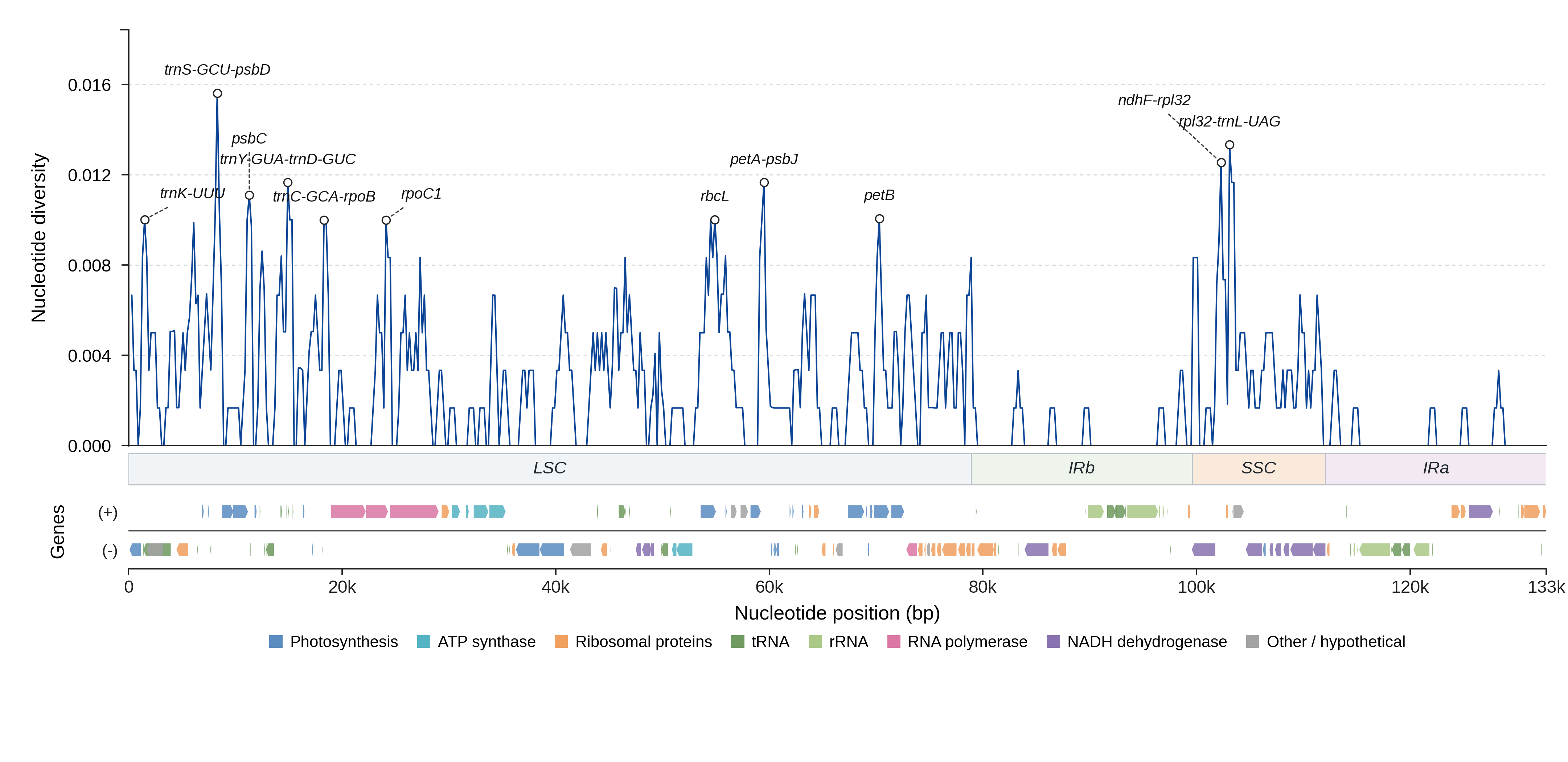 Sliding-window nucleotide diversity