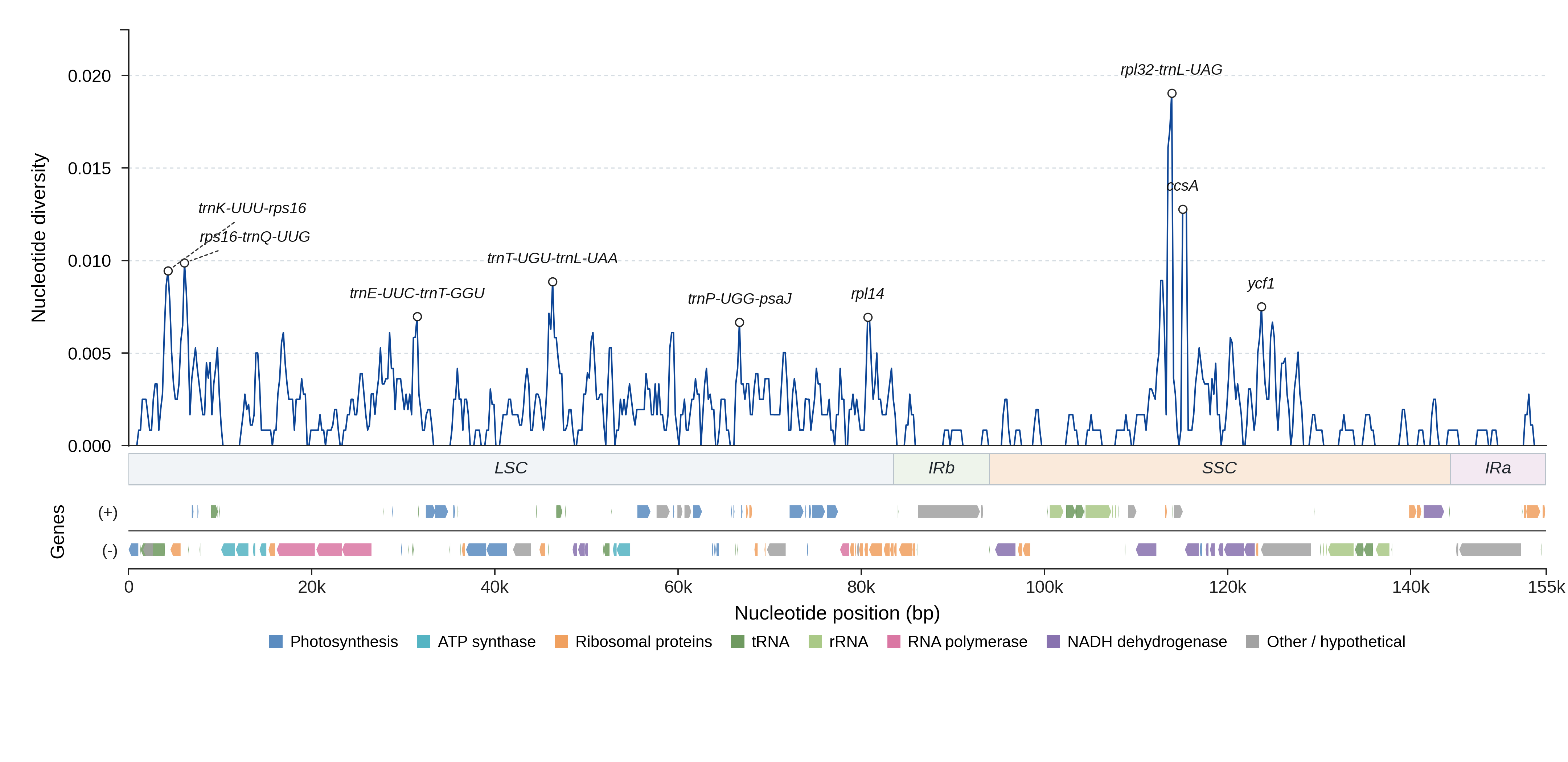 Sliding-window nucleotide diversity