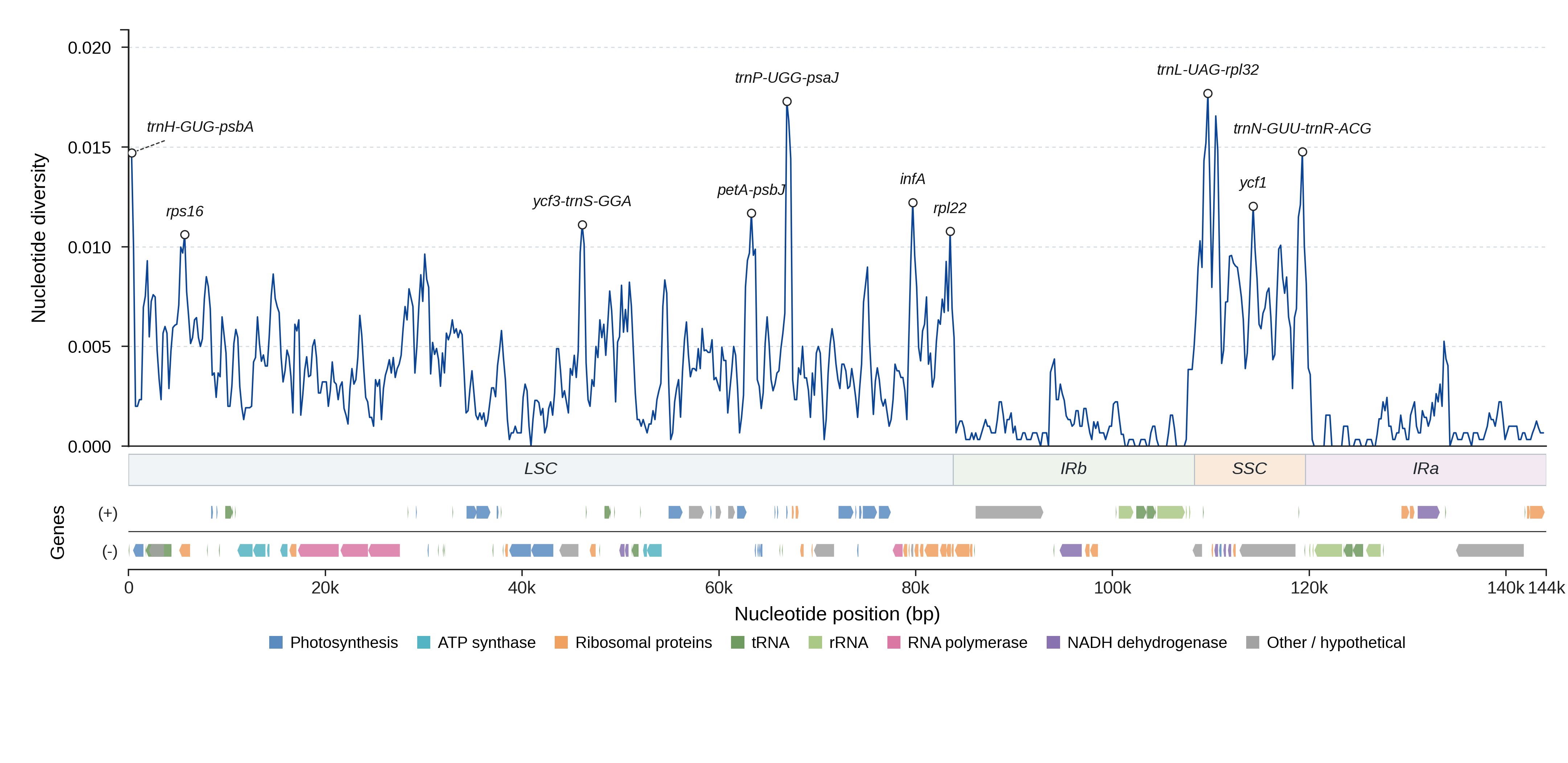 Sliding-window nucleotide diversity