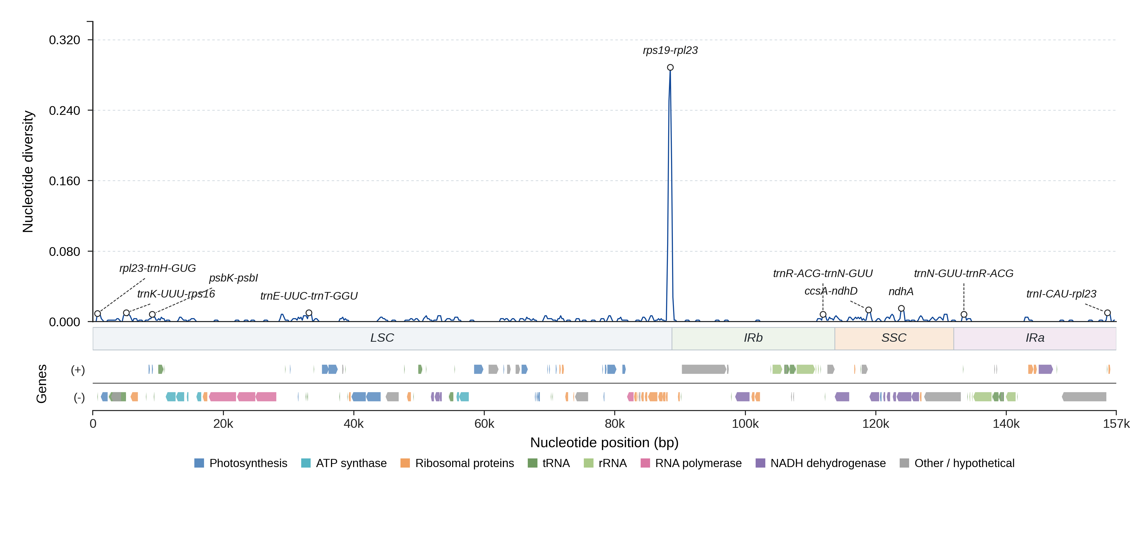 Sliding-window nucleotide diversity