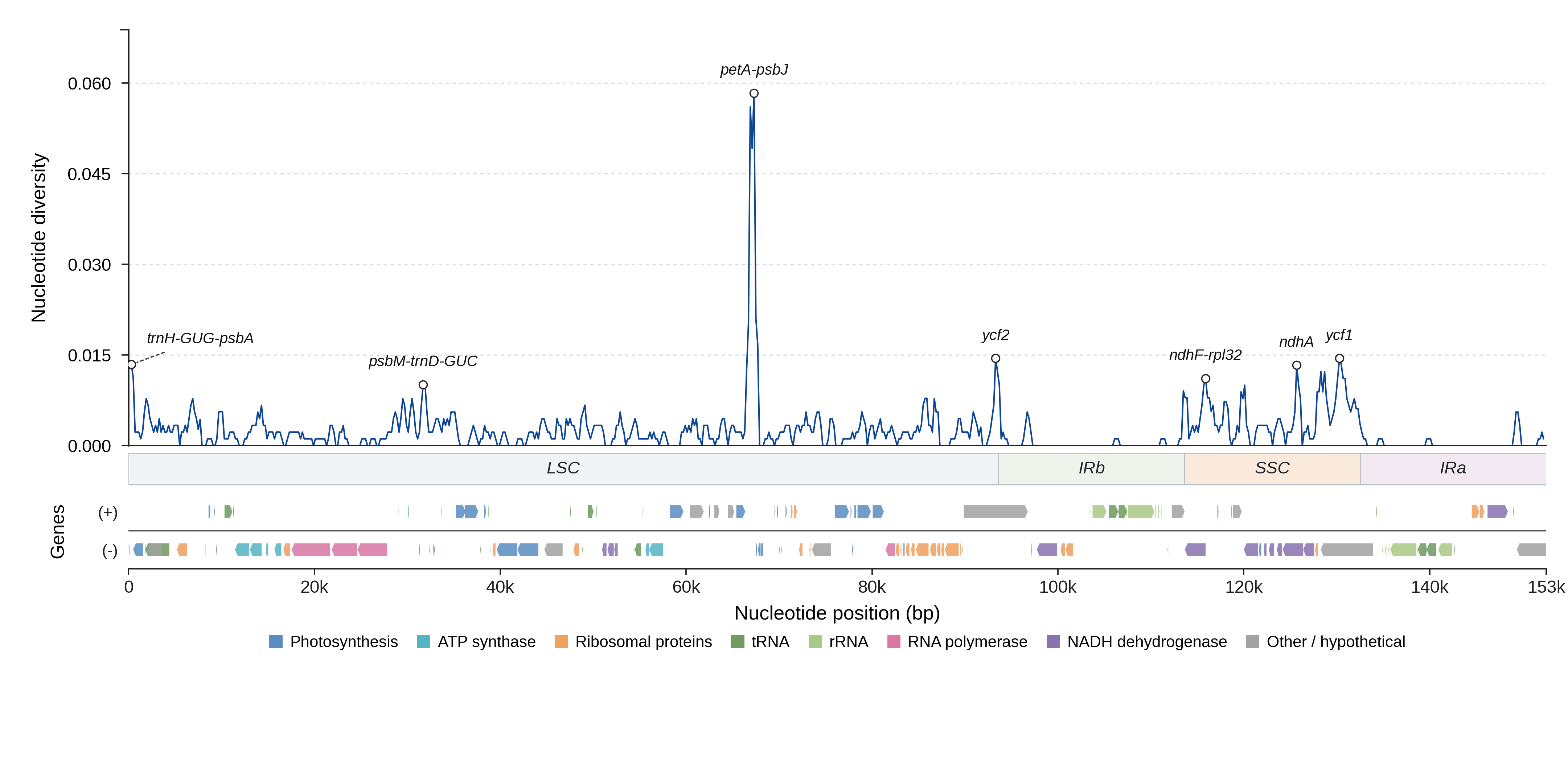 Sliding-window nucleotide diversity