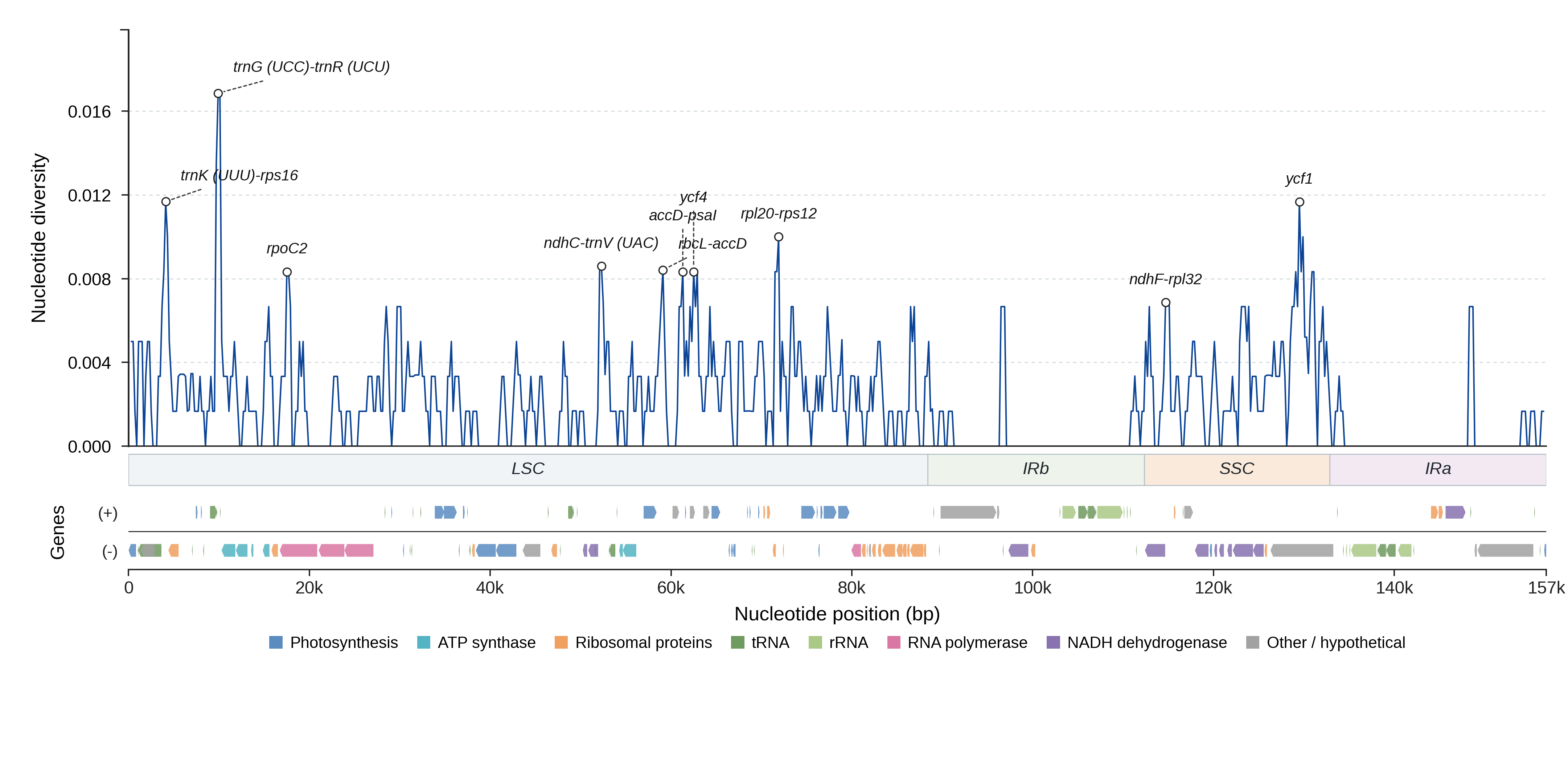 Sliding-window nucleotide diversity