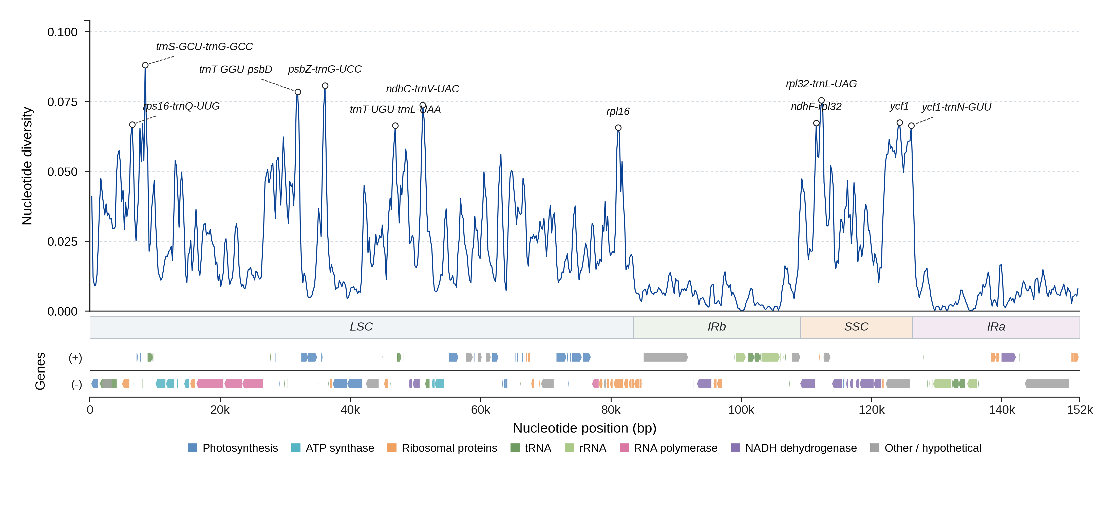 Sliding-window nucleotide diversity