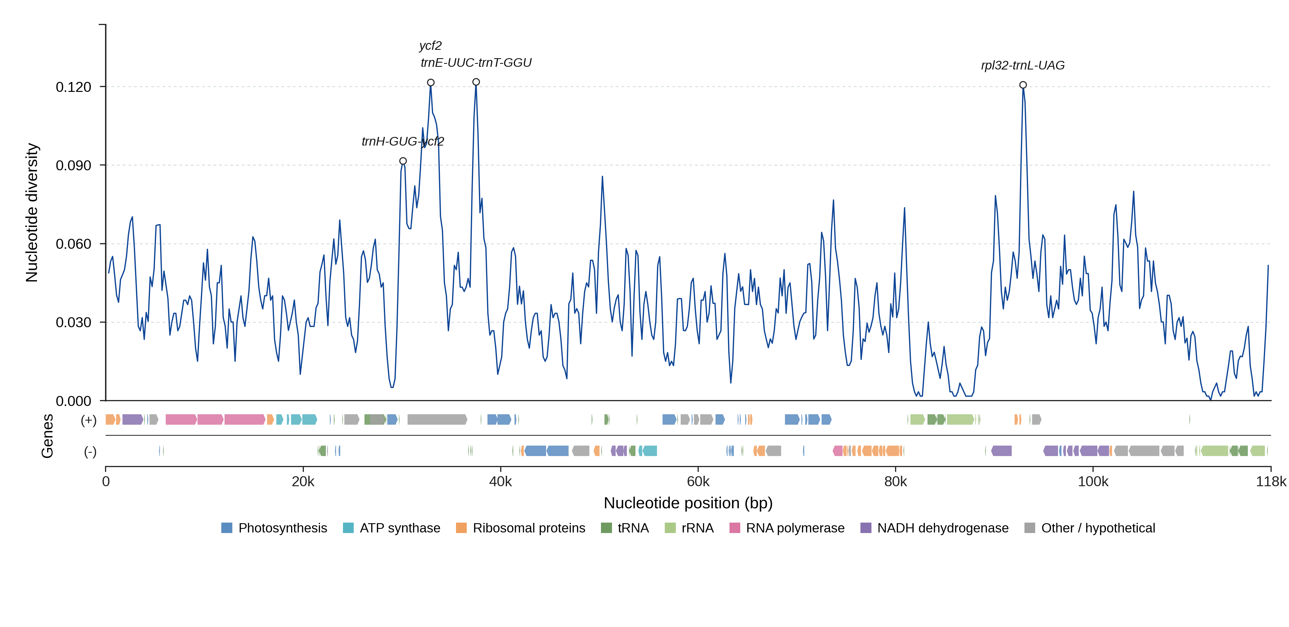 Sliding-window nucleotide diversity