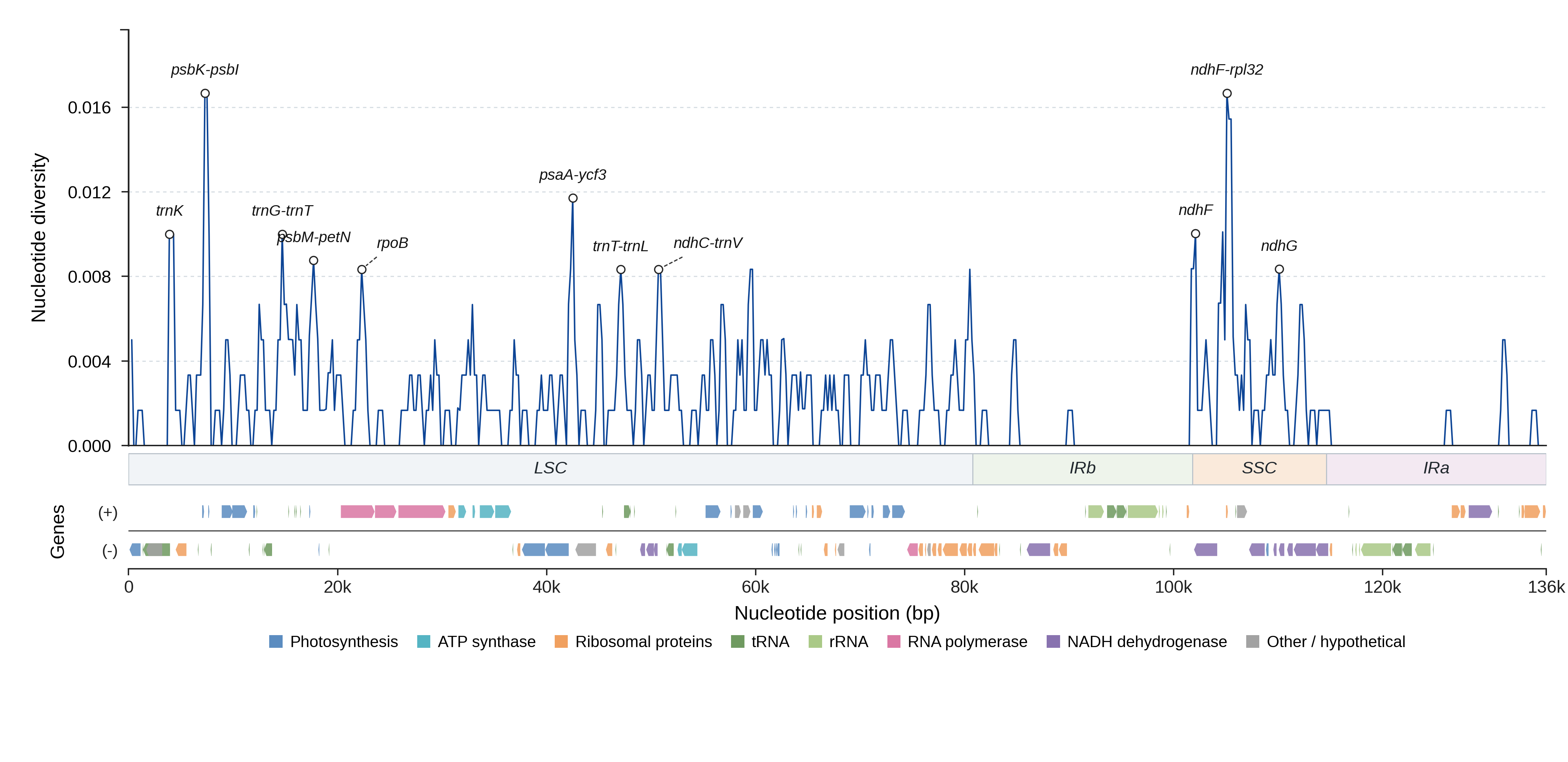 Sliding-window nucleotide diversity