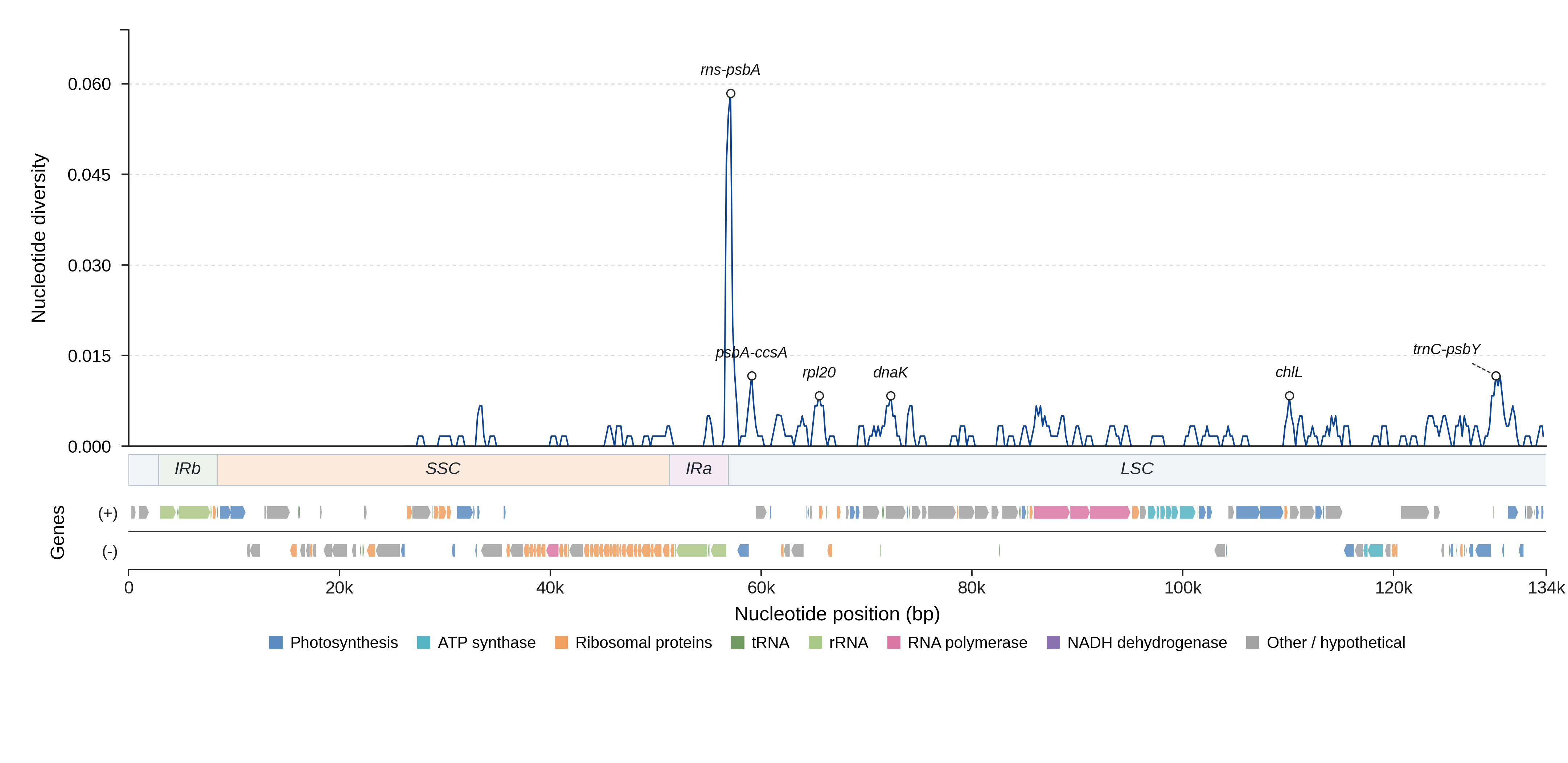 Sliding-window nucleotide diversity