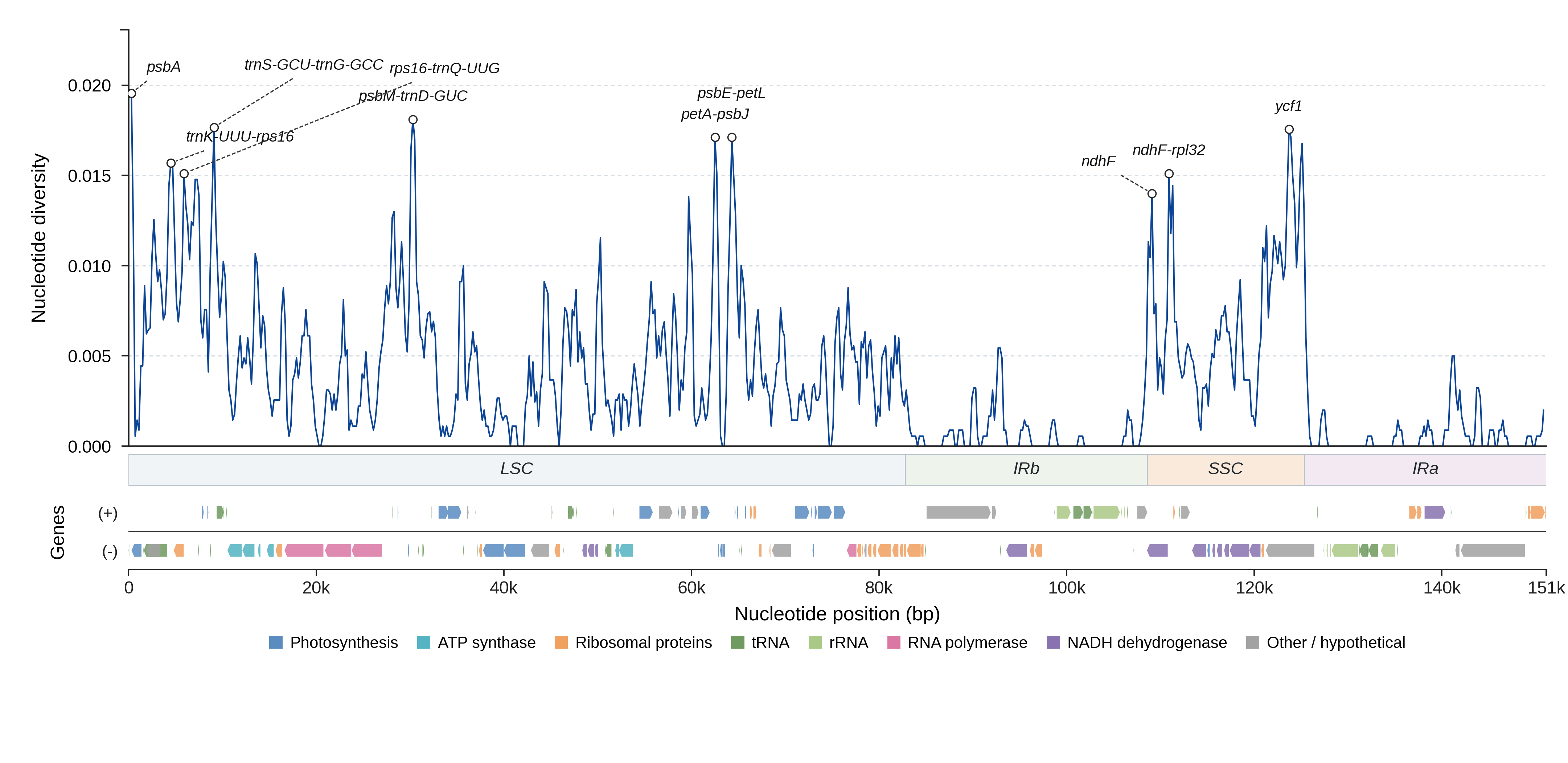 Sliding-window nucleotide diversity