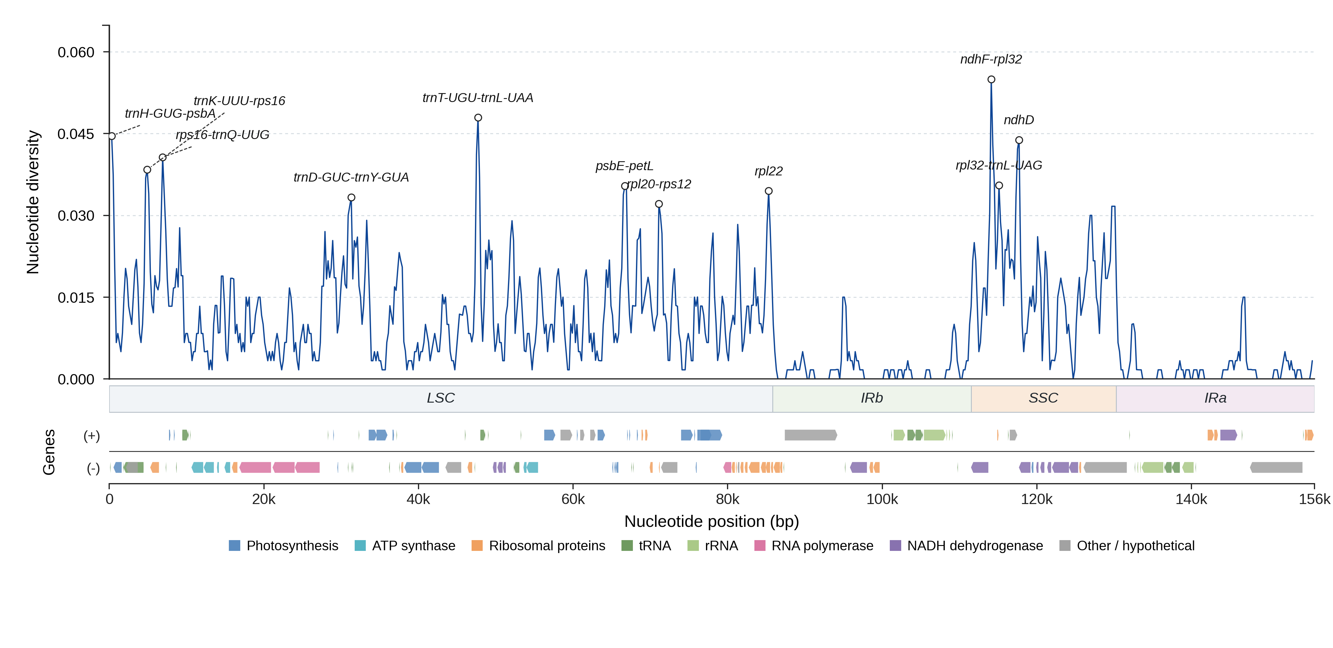 Sliding-window nucleotide diversity
