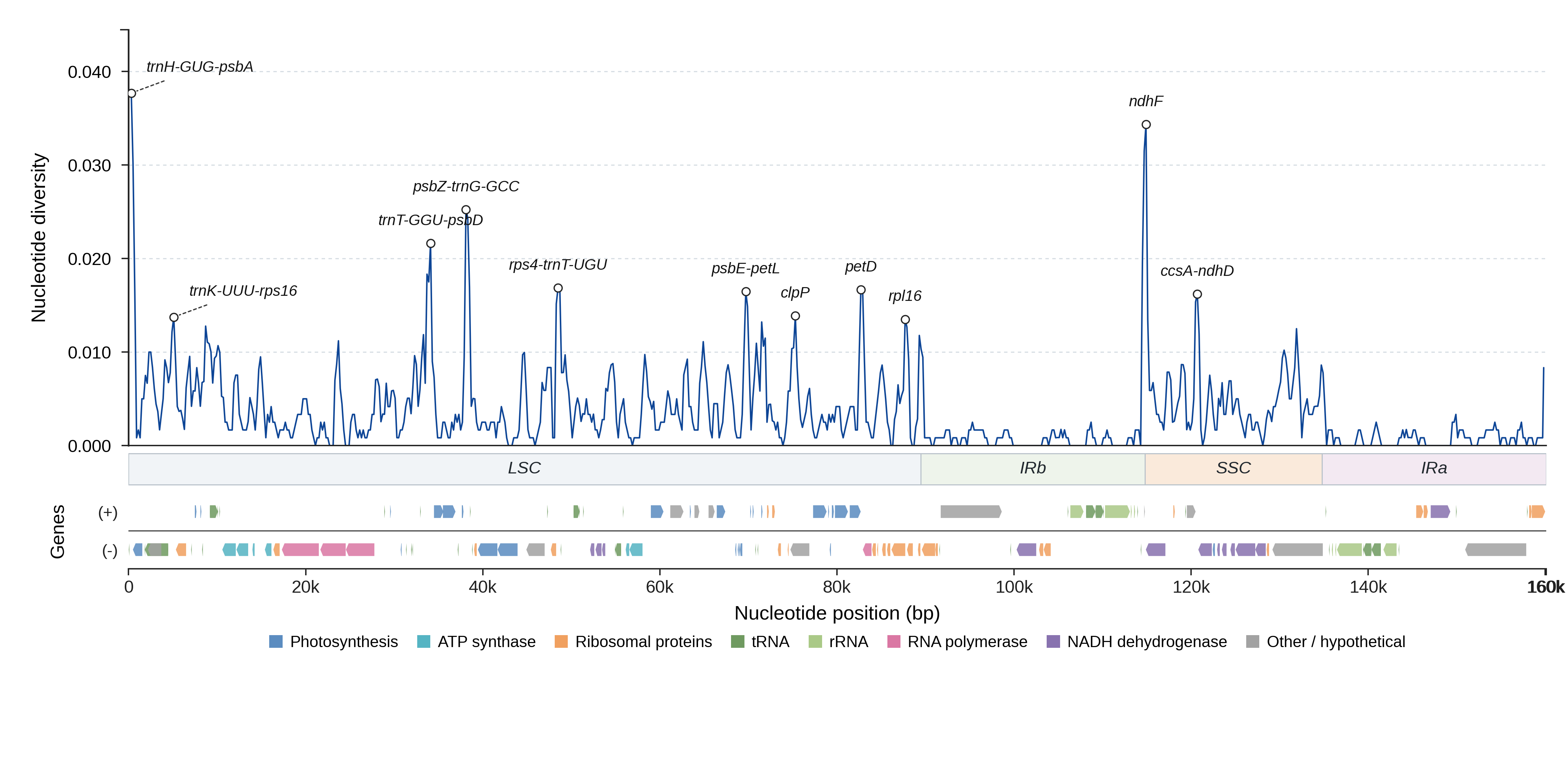 Sliding-window nucleotide diversity