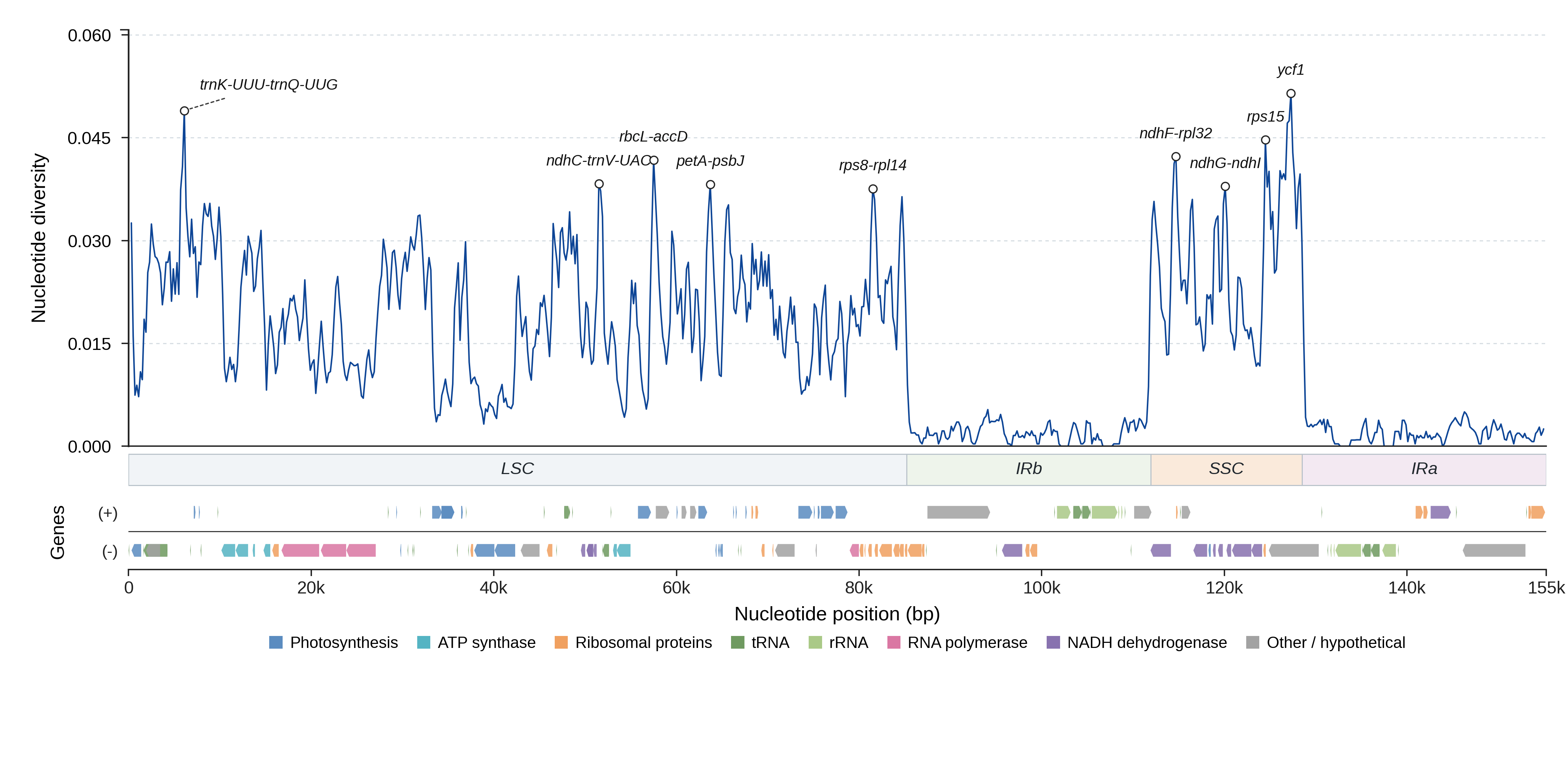 Sliding-window nucleotide diversity