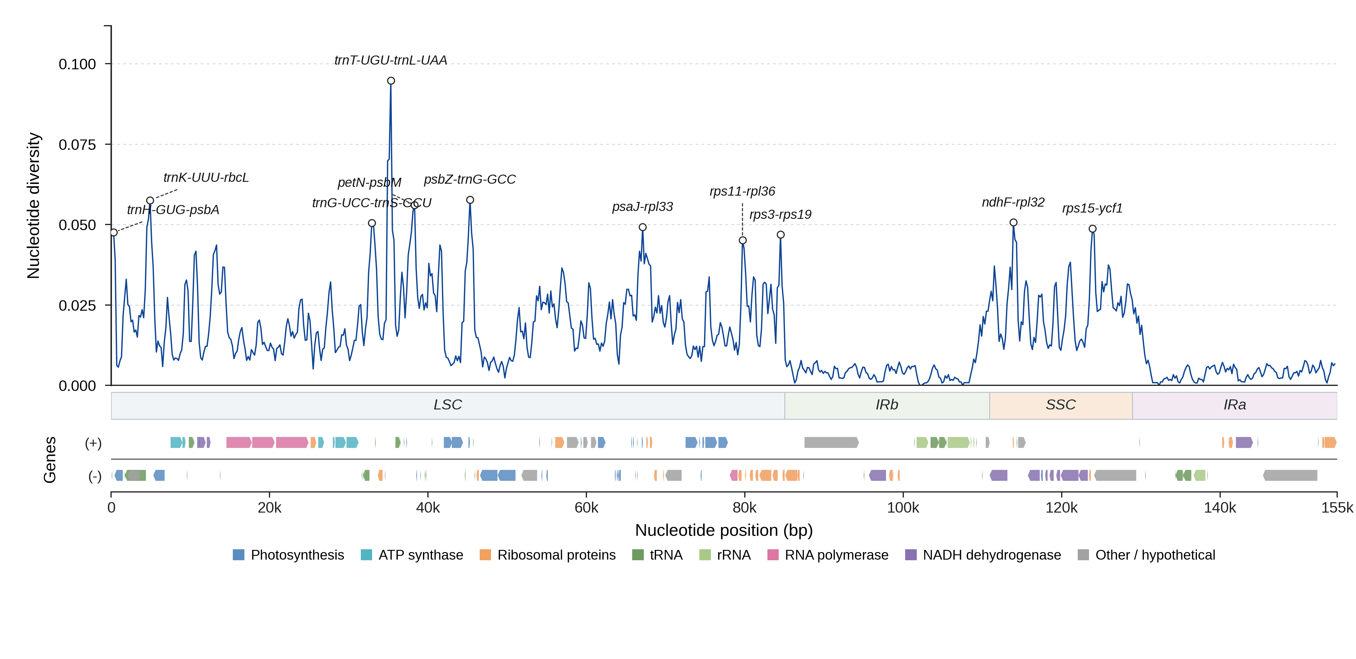Sliding-window nucleotide diversity