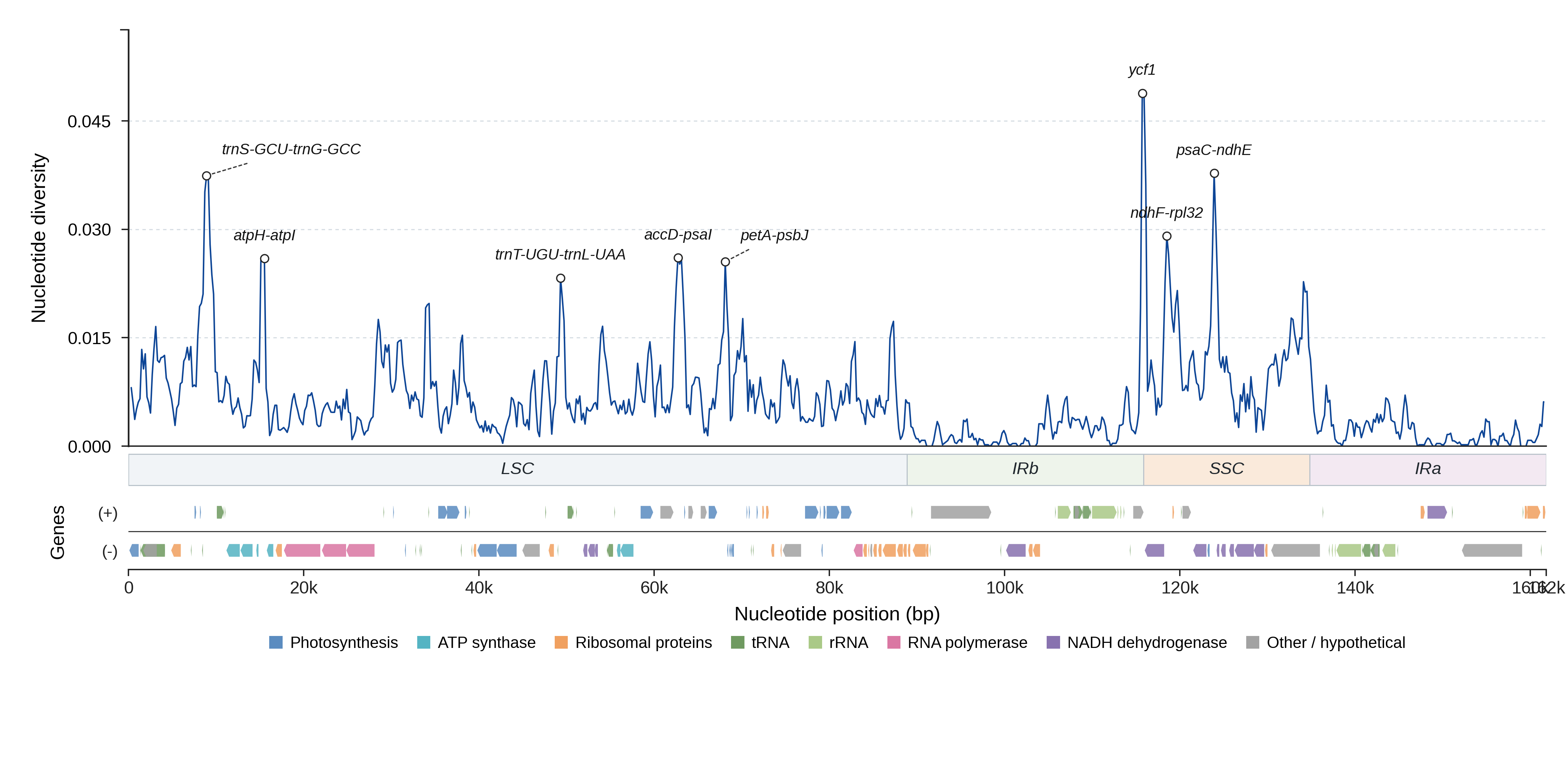 Sliding-window nucleotide diversity