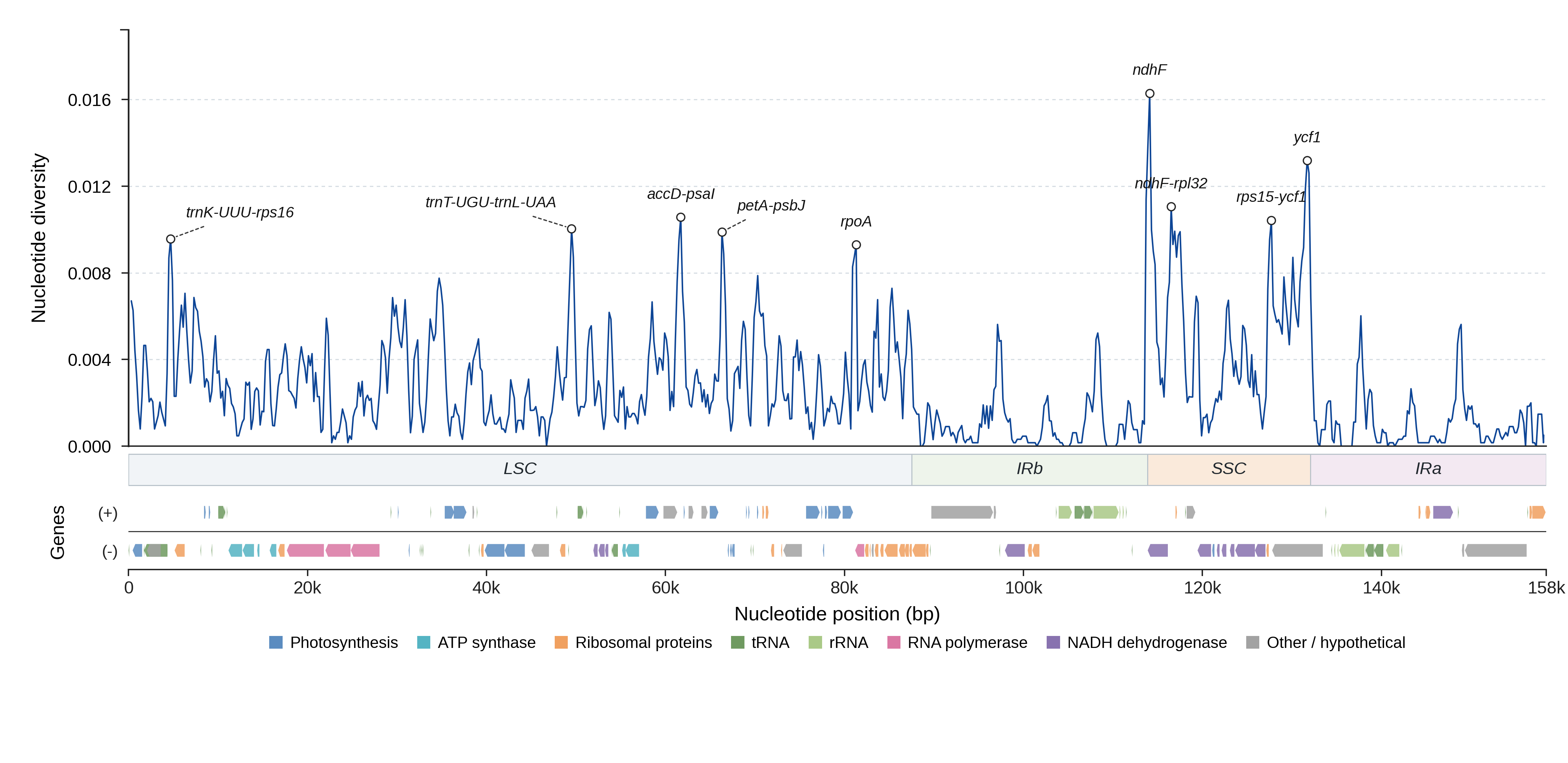 Sliding-window nucleotide diversity