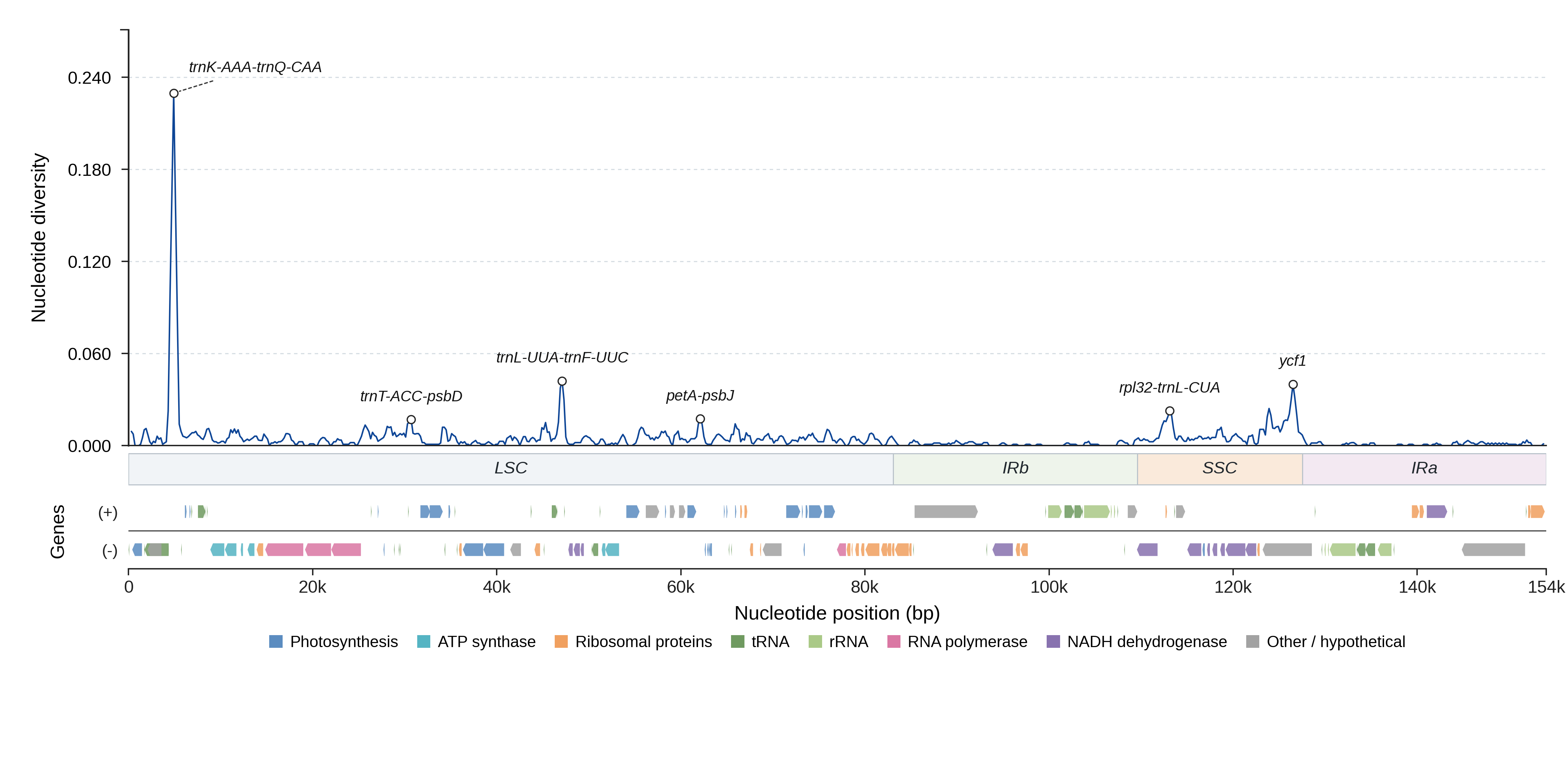 Sliding-window nucleotide diversity