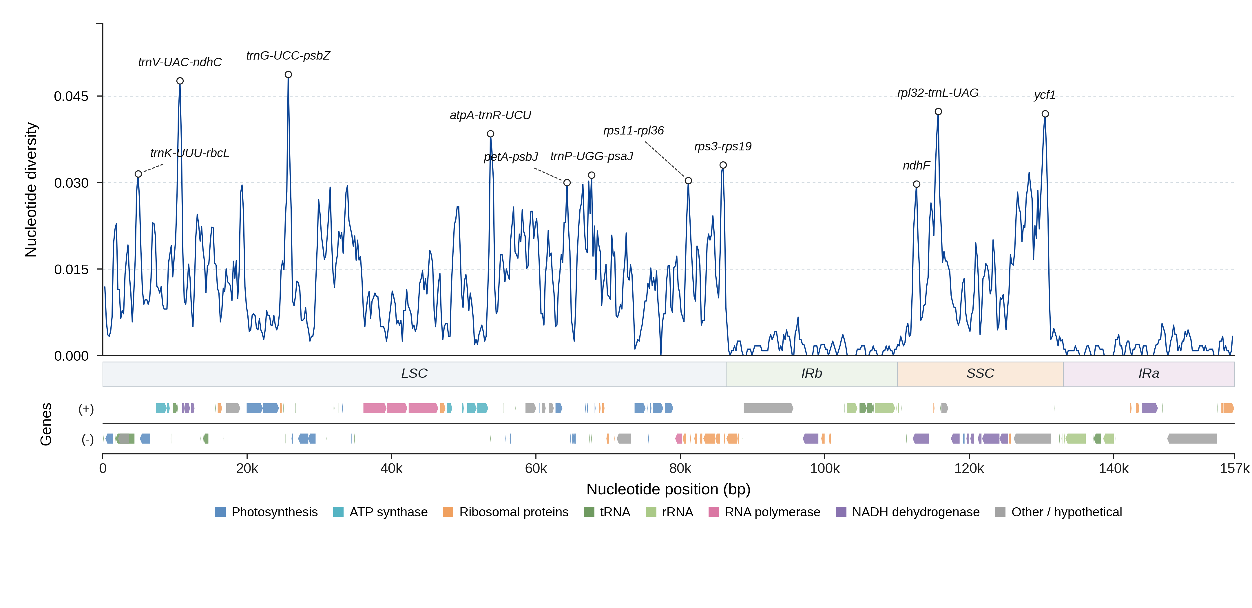 Sliding-window nucleotide diversity