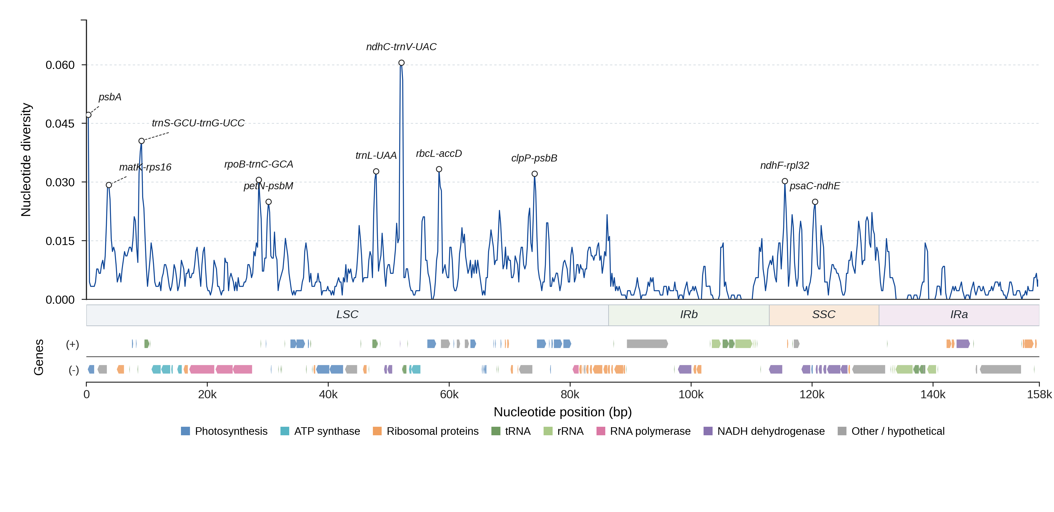 Sliding-window nucleotide diversity