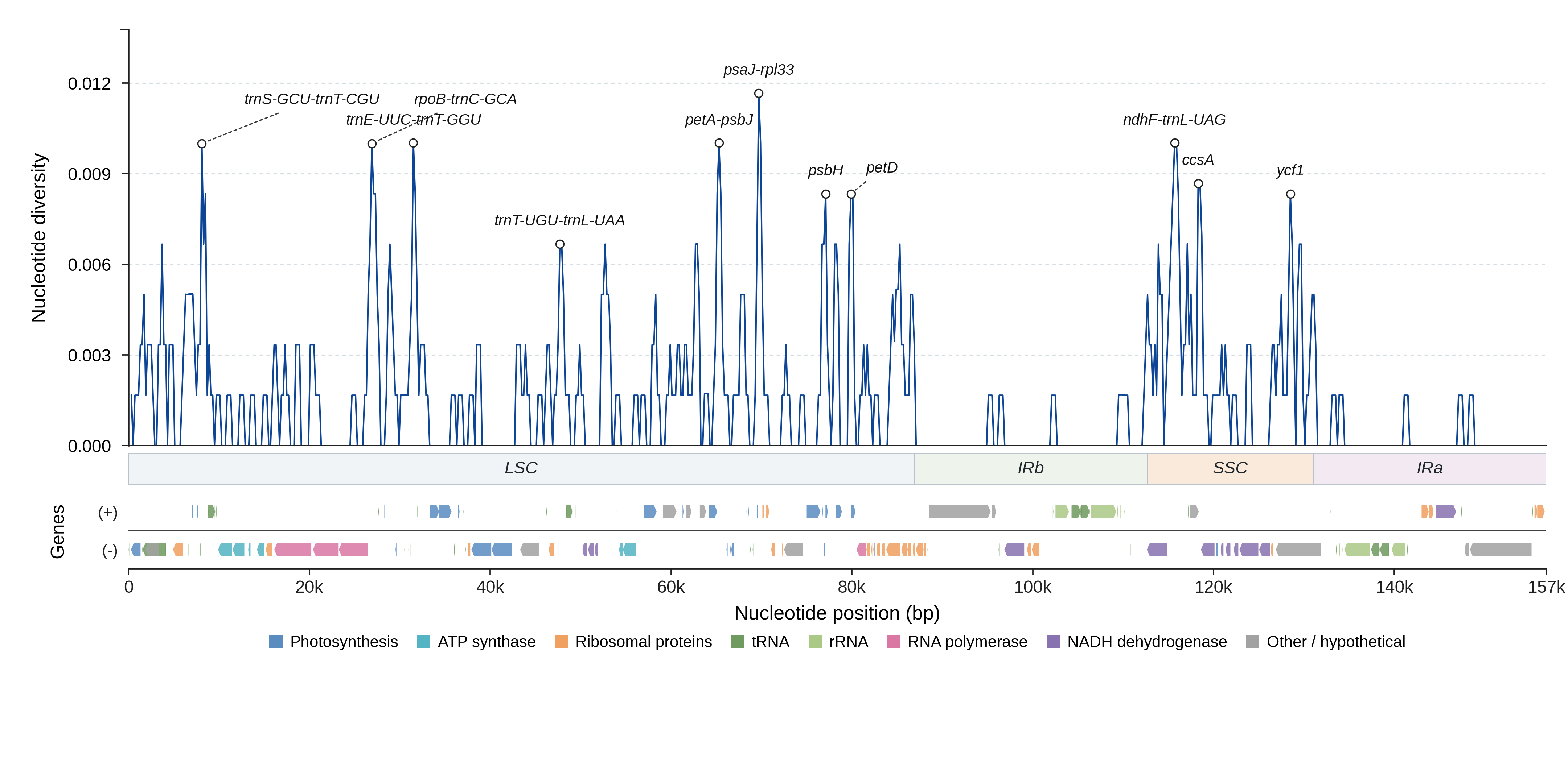 Sliding-window nucleotide diversity