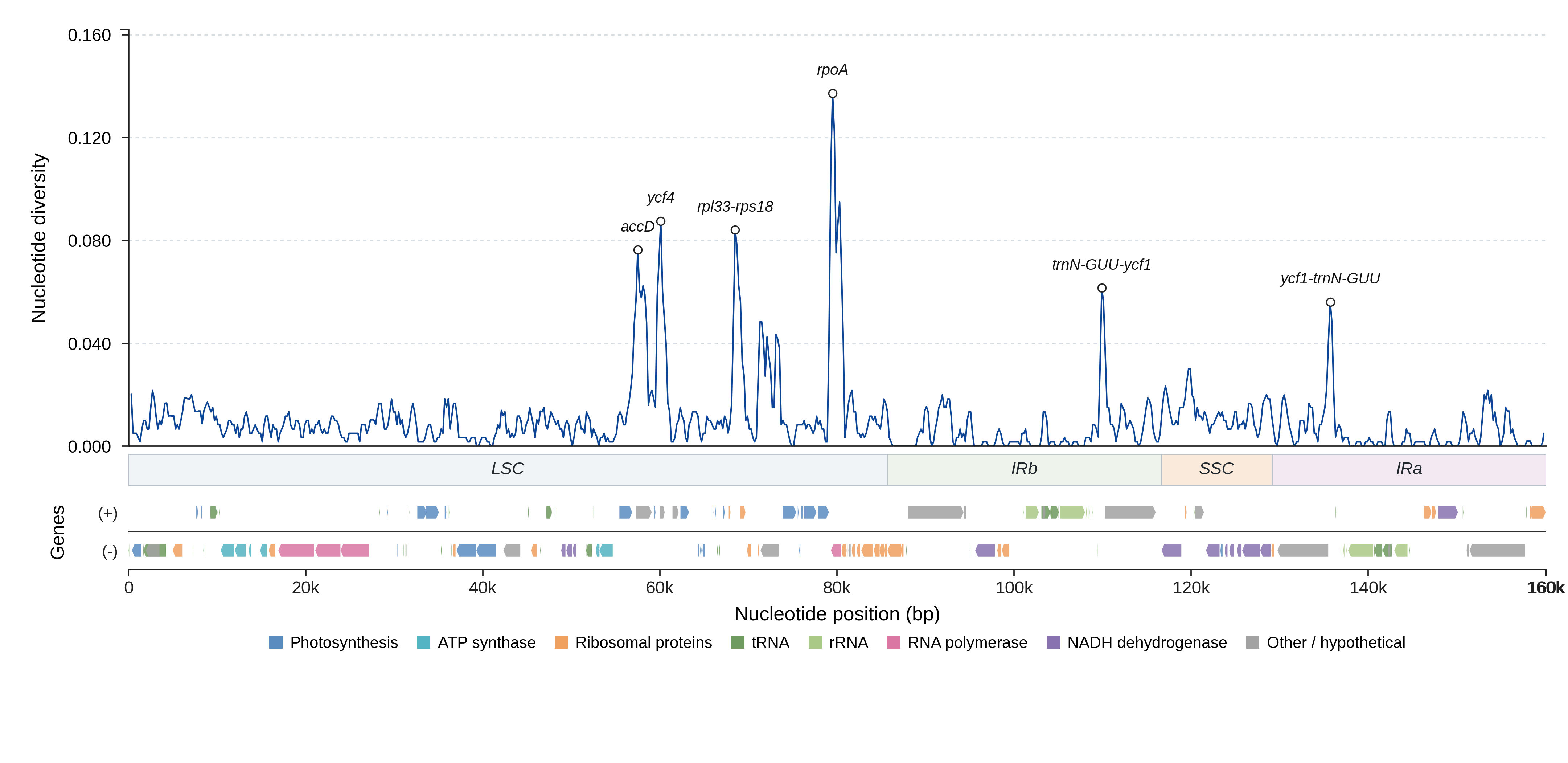 Sliding-window nucleotide diversity