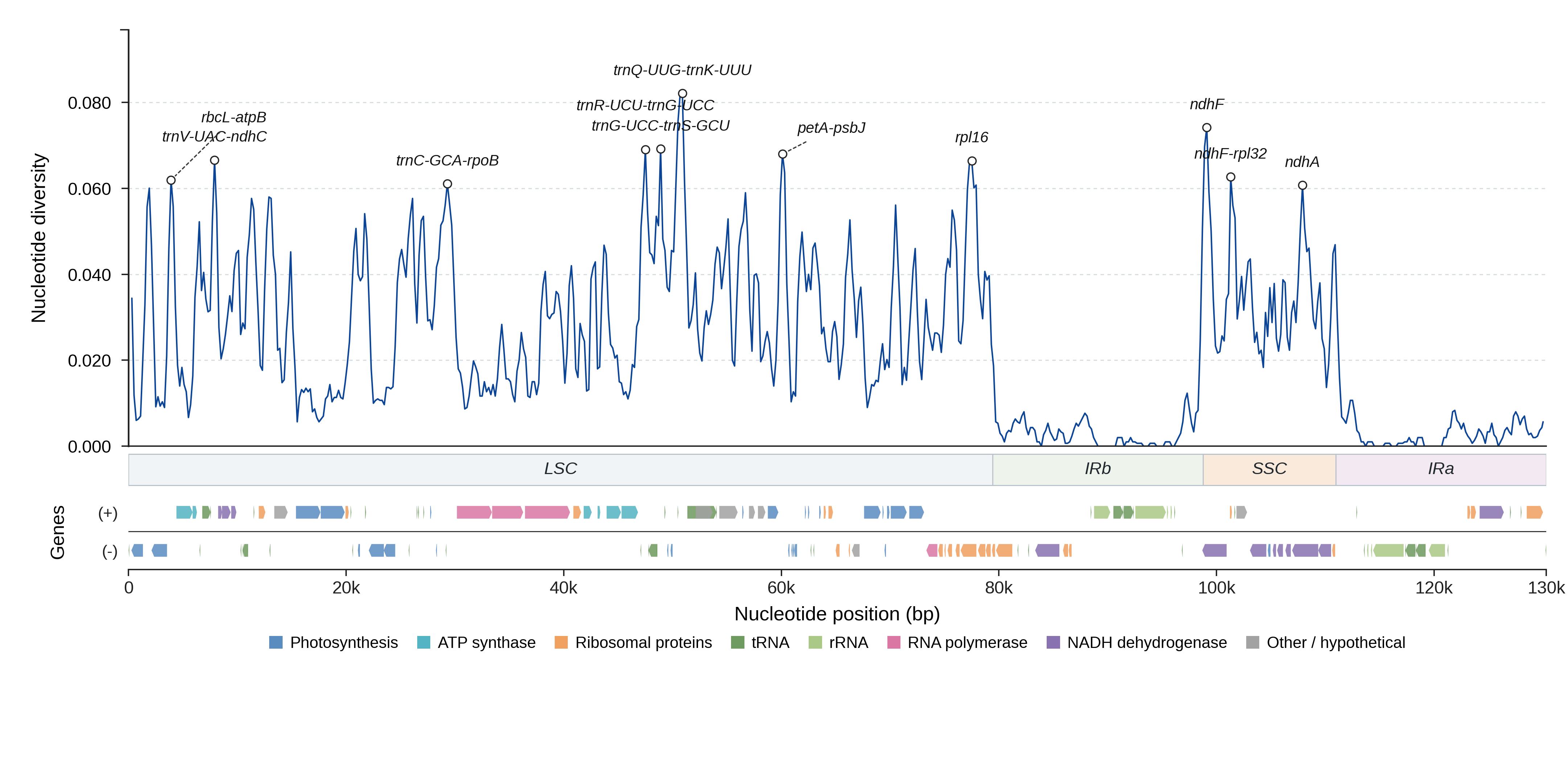Sliding-window nucleotide diversity