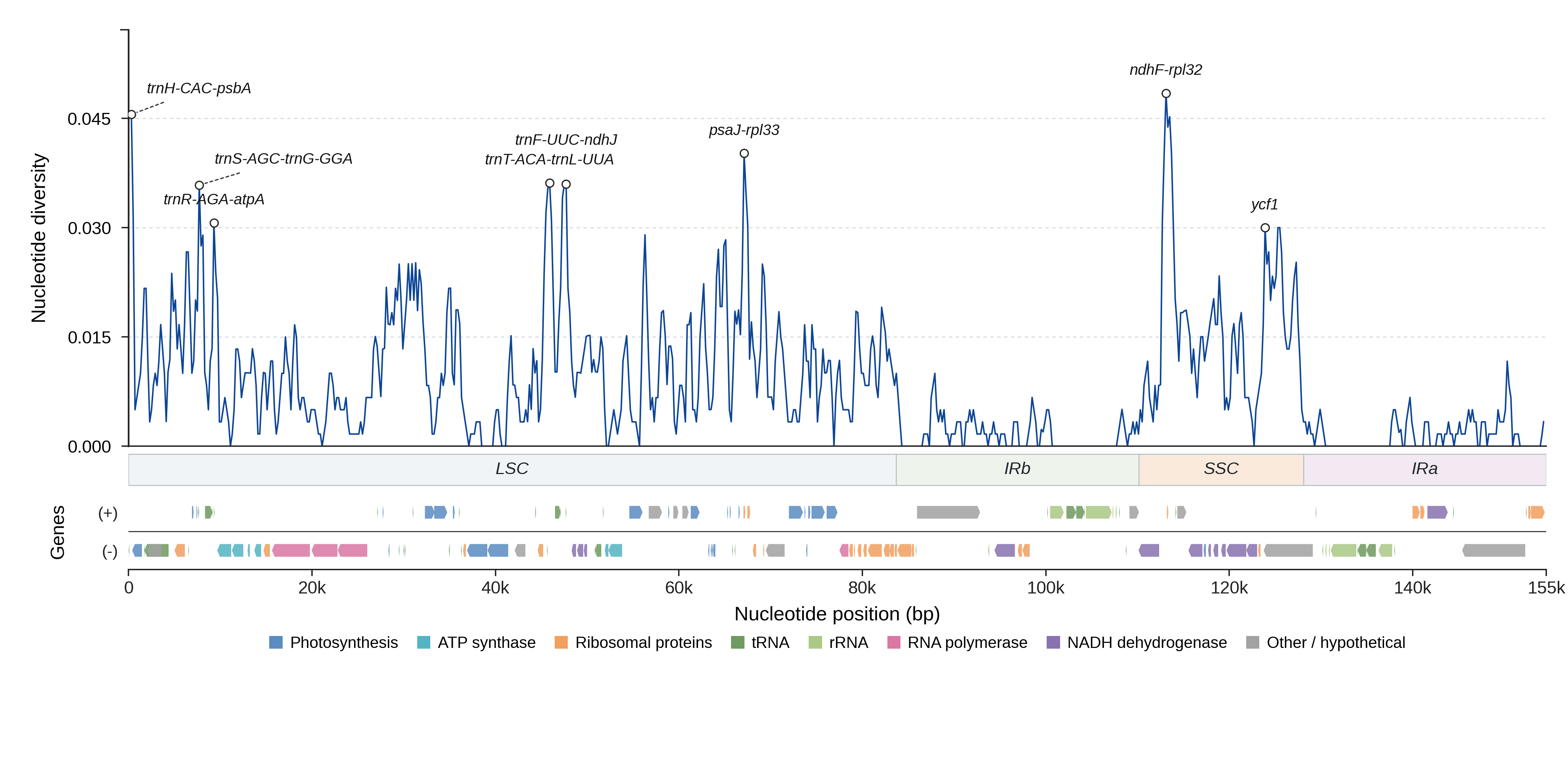 Sliding-window nucleotide diversity