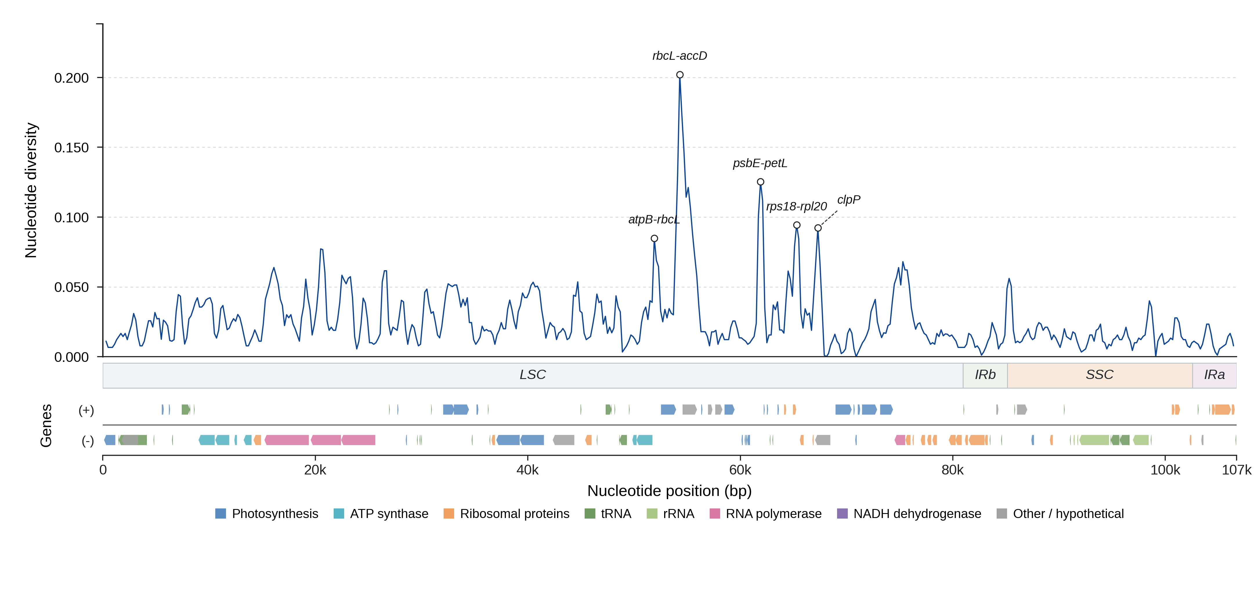 Sliding-window nucleotide diversity