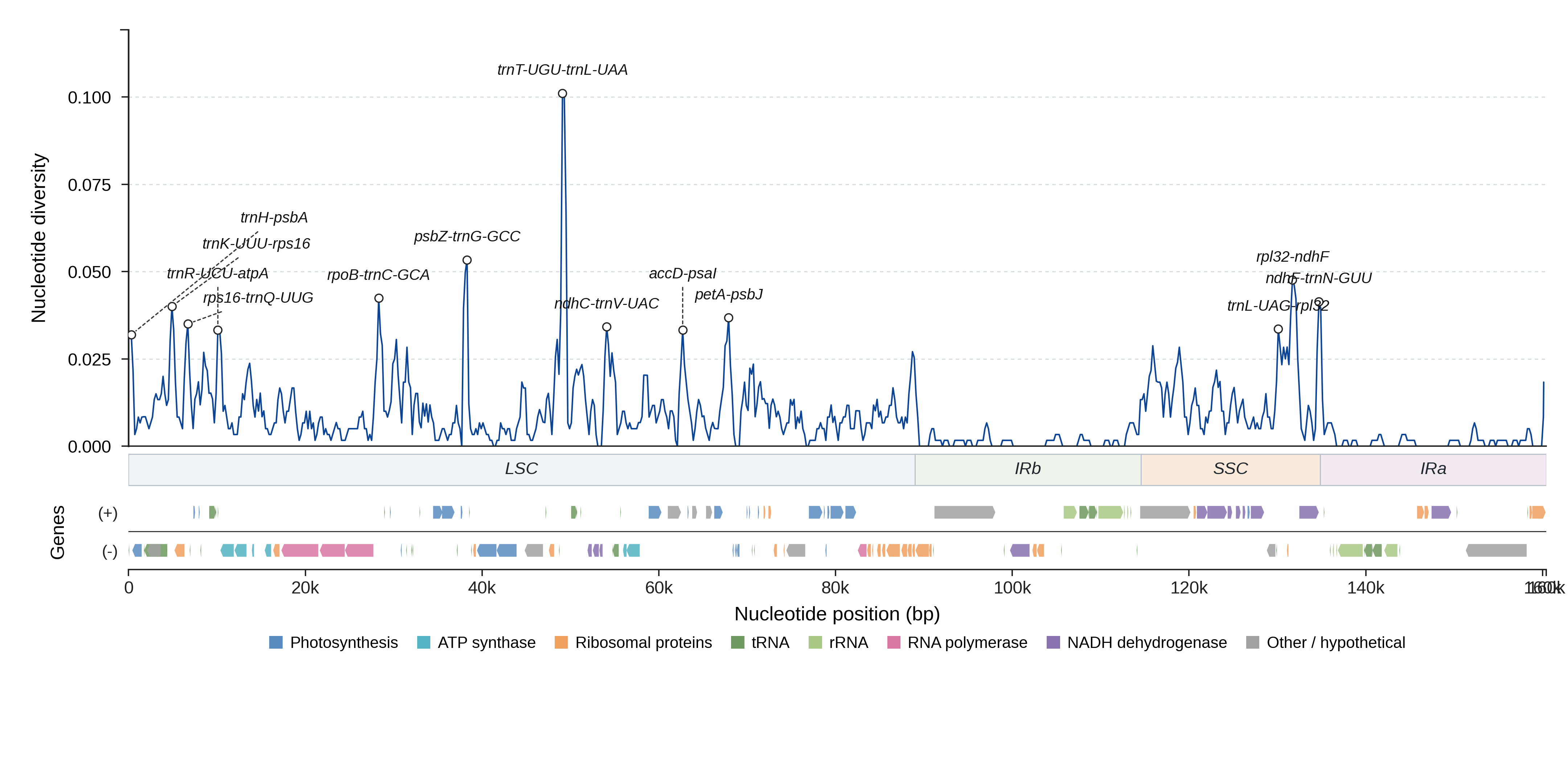 Sliding-window nucleotide diversity