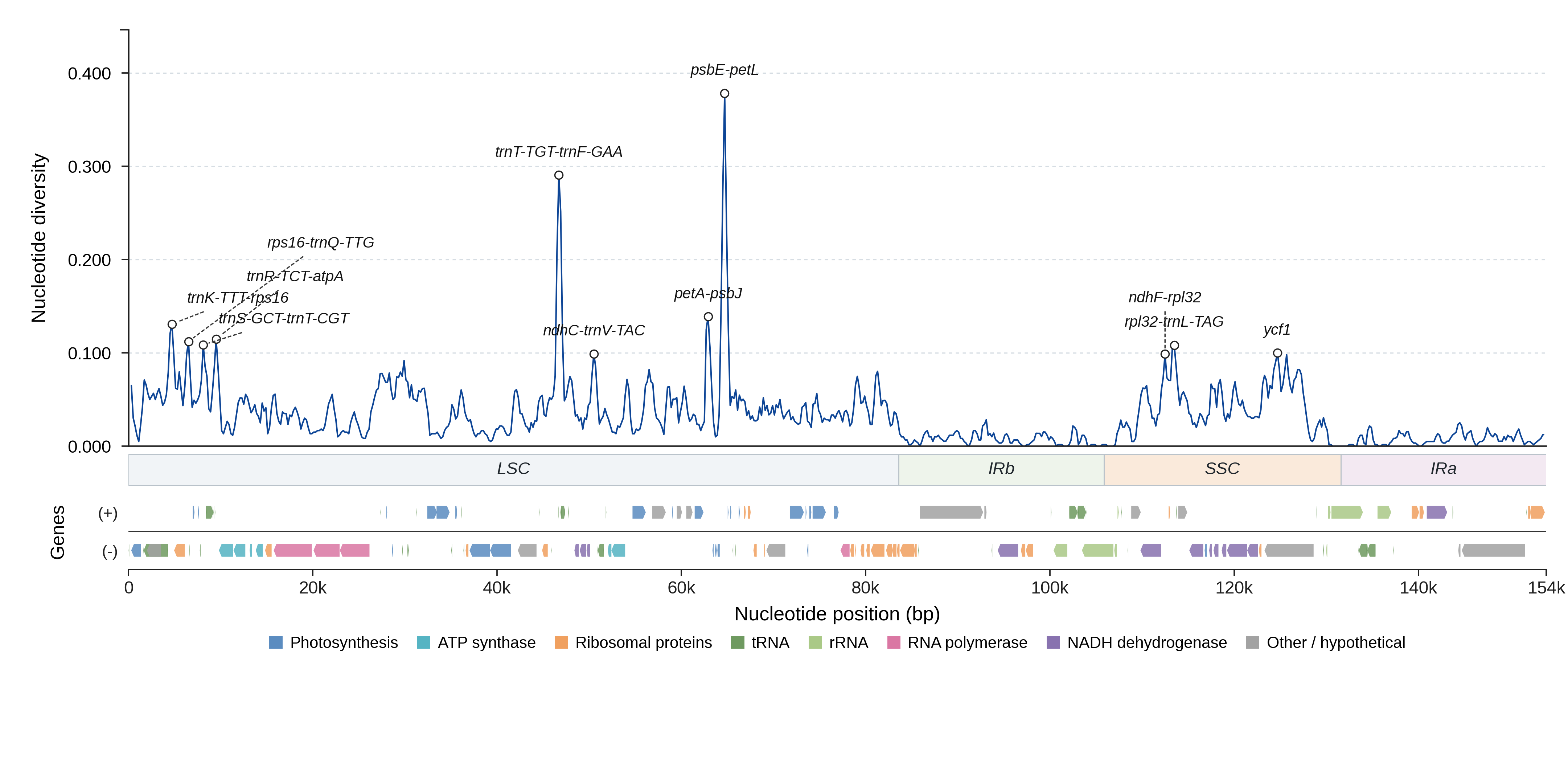 Sliding-window nucleotide diversity