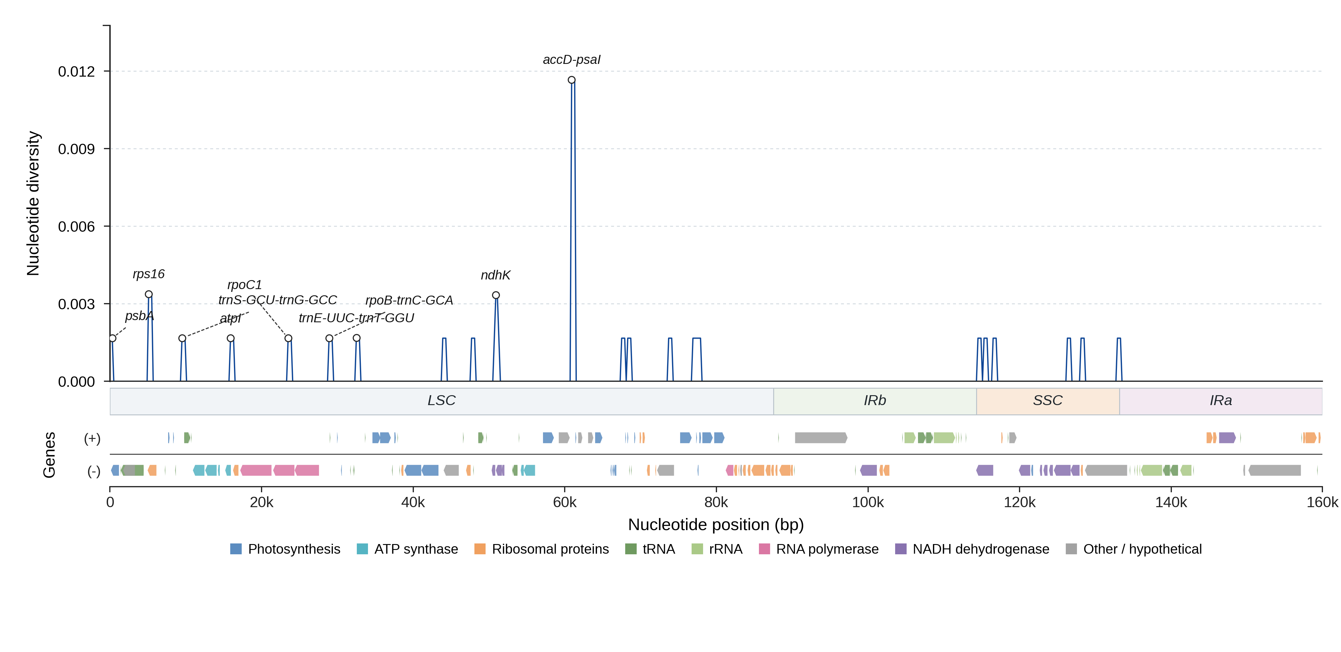 Sliding-window nucleotide diversity