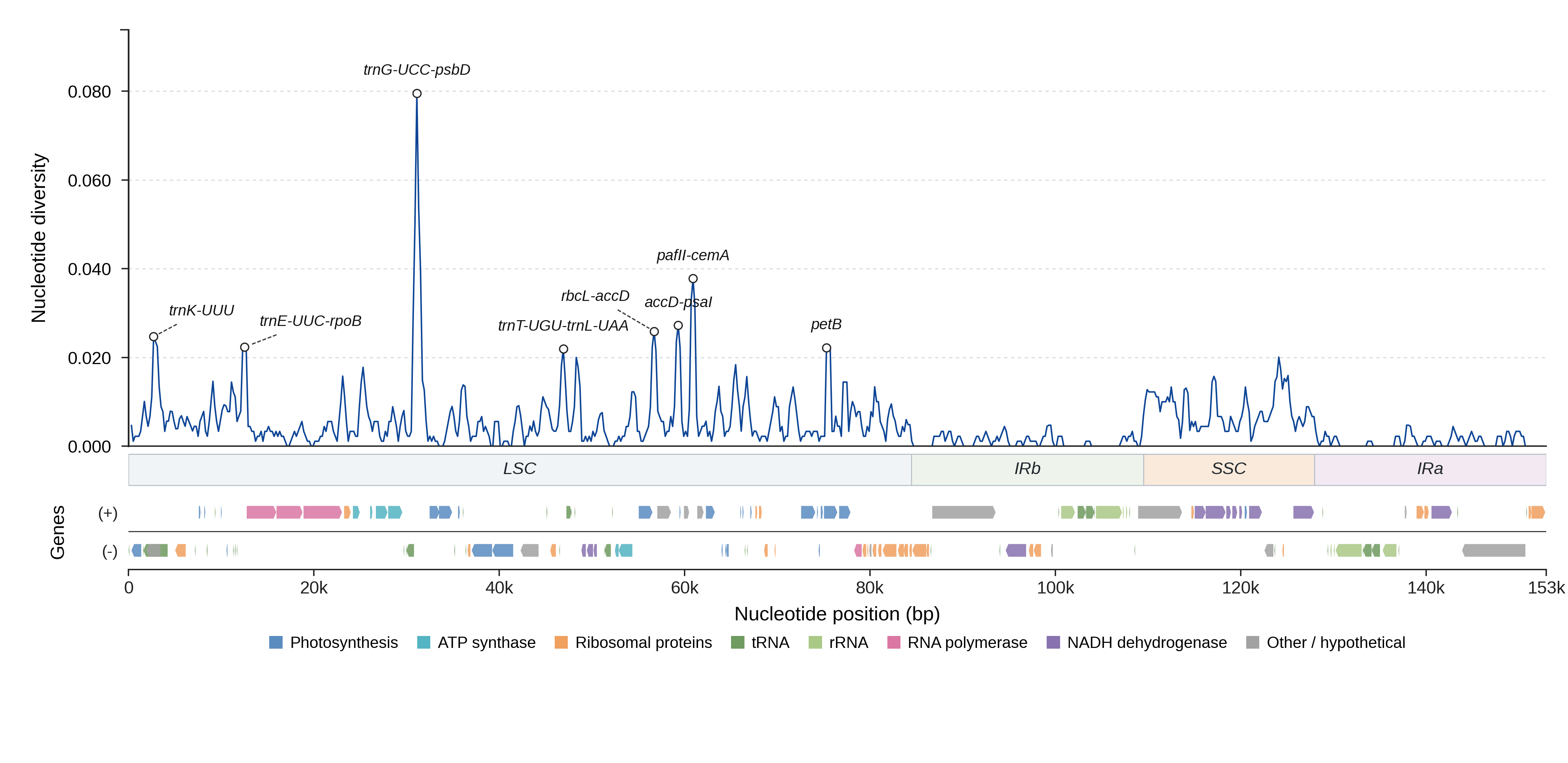 Sliding-window nucleotide diversity