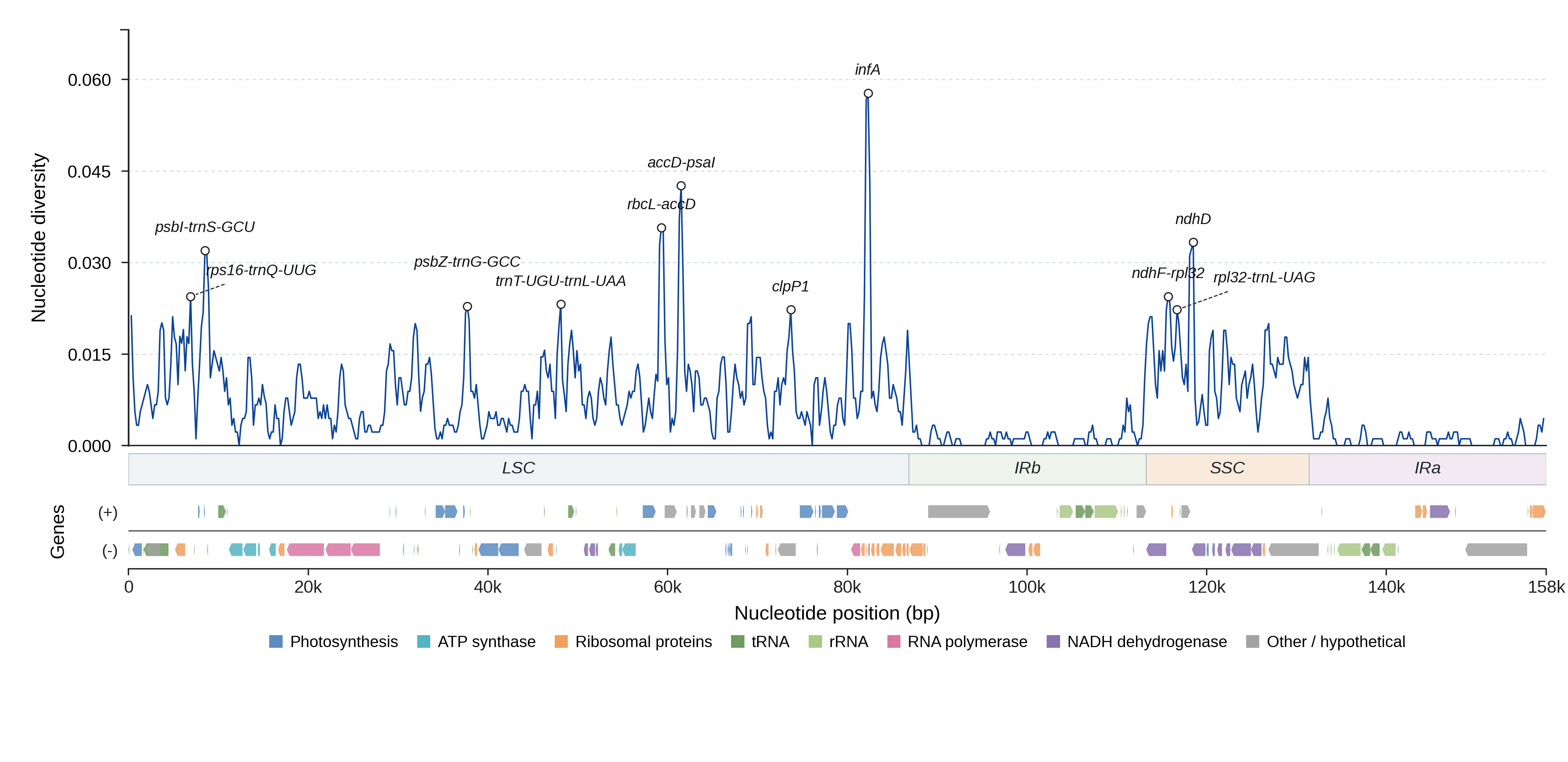 Sliding-window nucleotide diversity