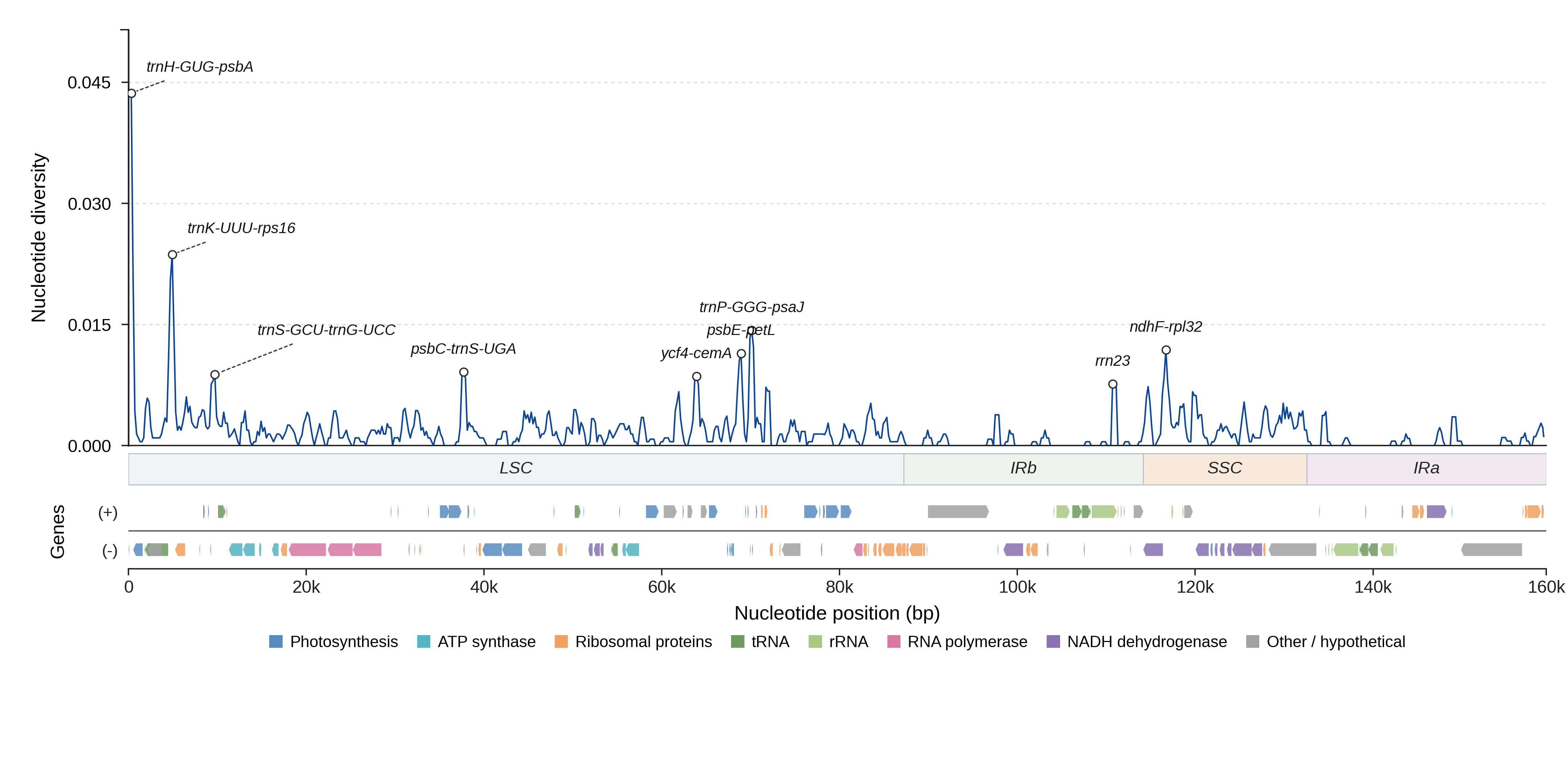Sliding-window nucleotide diversity