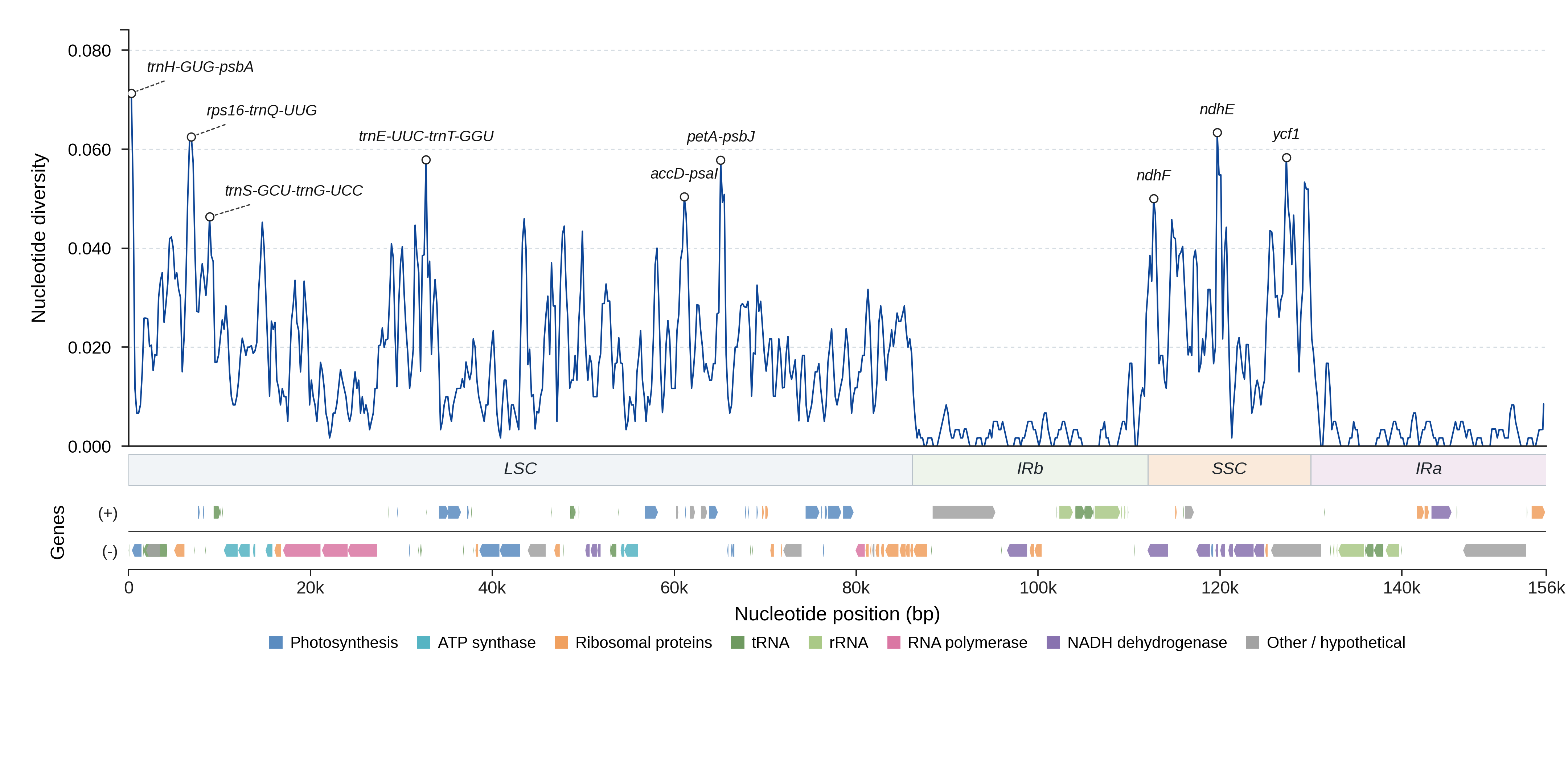 Sliding-window nucleotide diversity