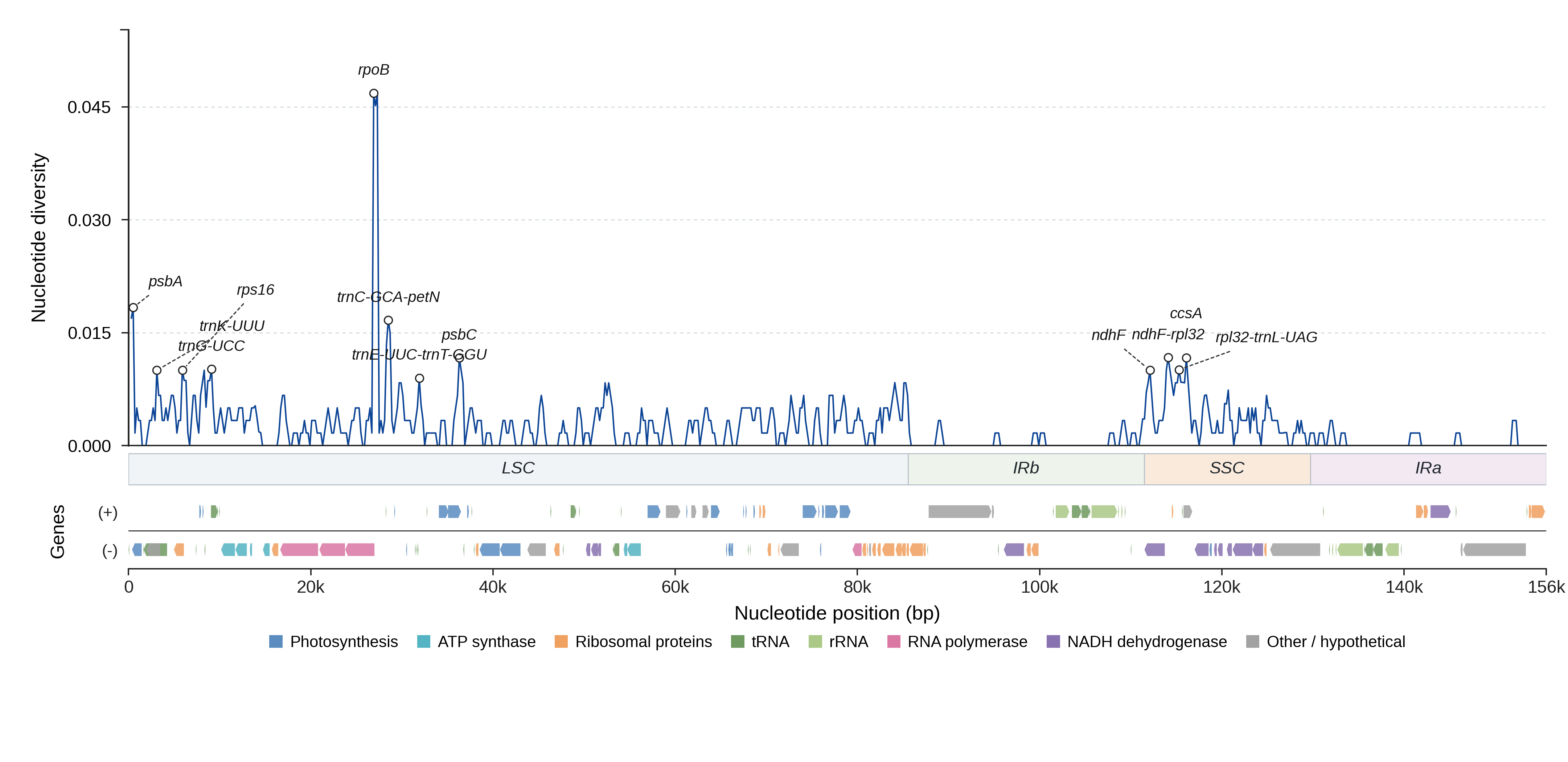 Sliding-window nucleotide diversity