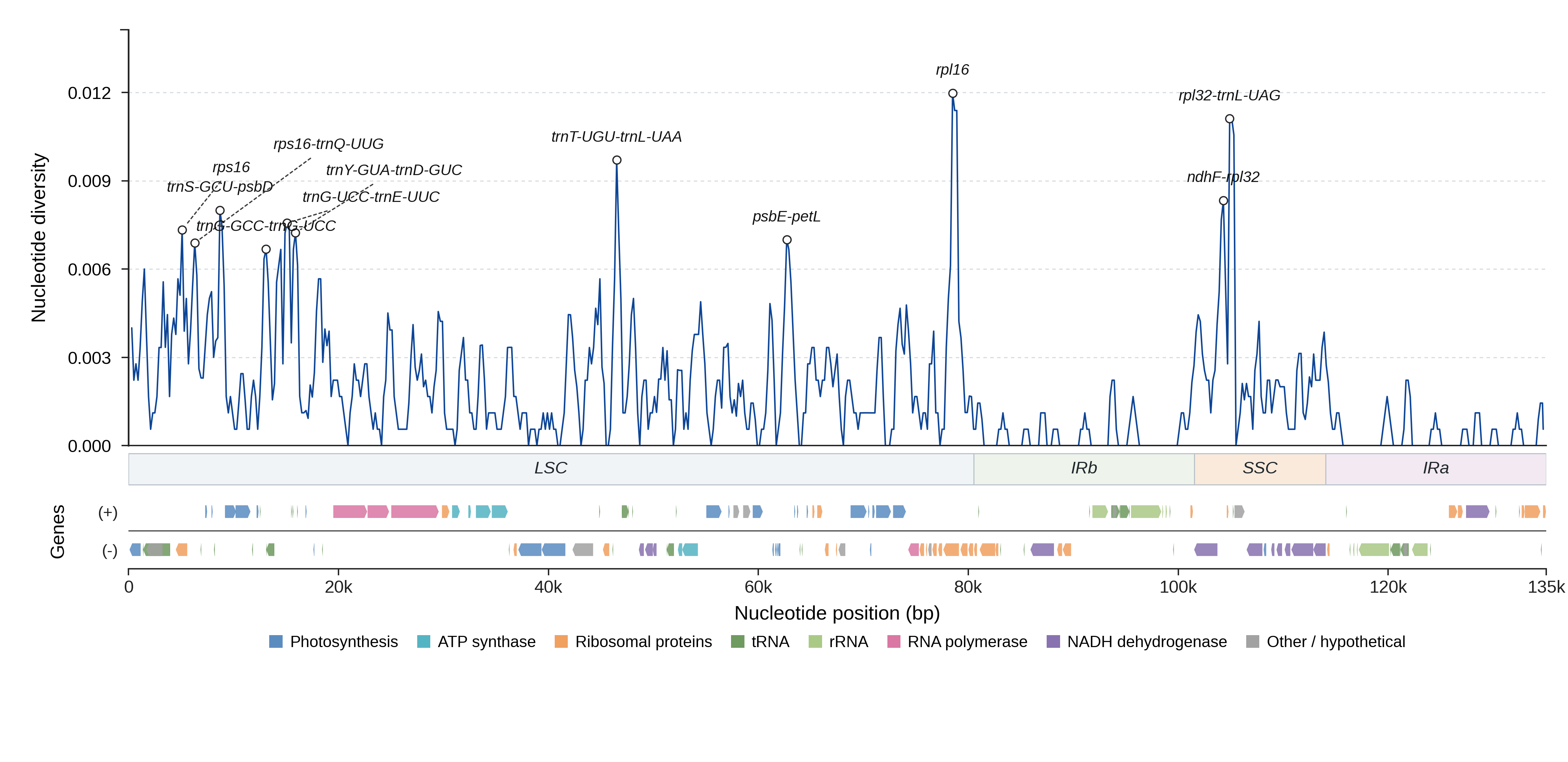 Sliding-window nucleotide diversity
