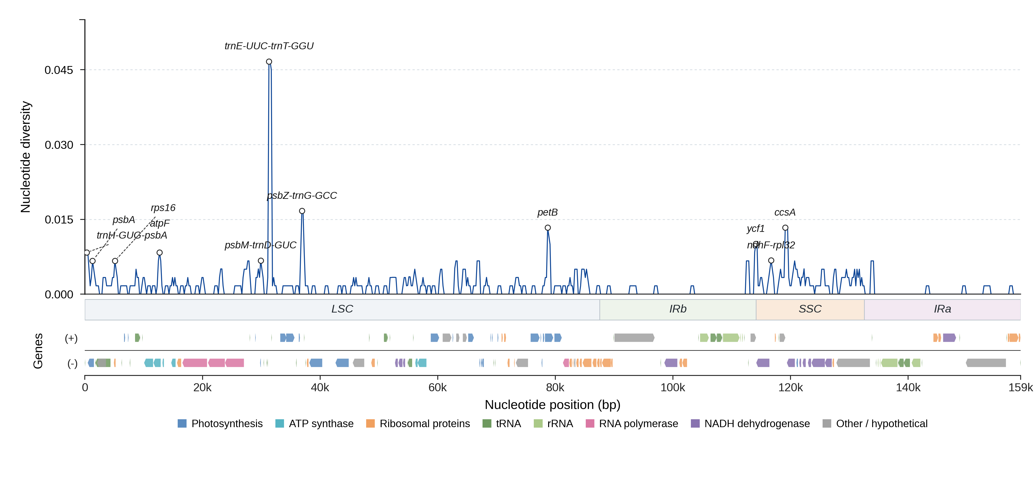 Sliding-window nucleotide diversity
