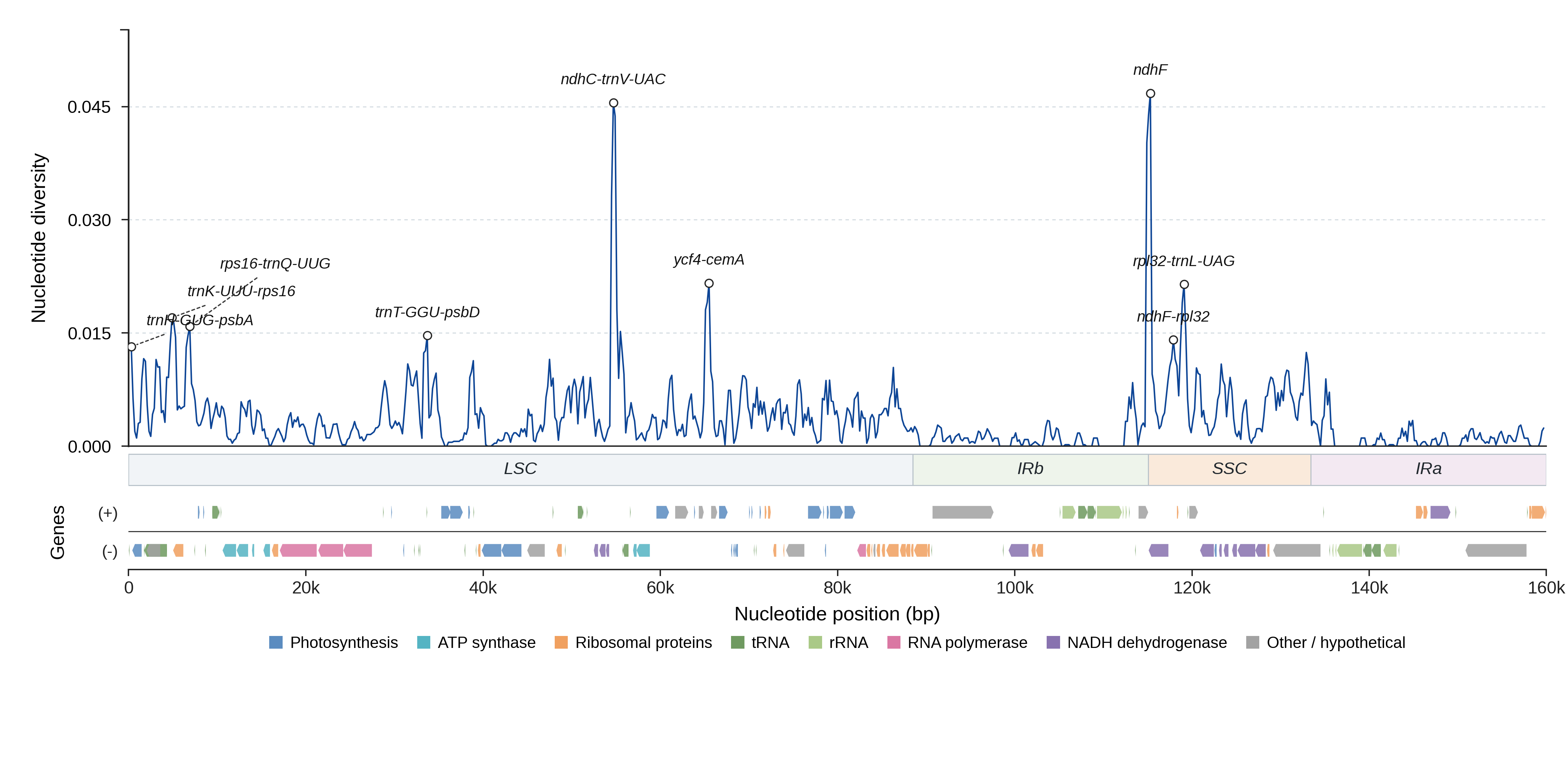Sliding-window nucleotide diversity