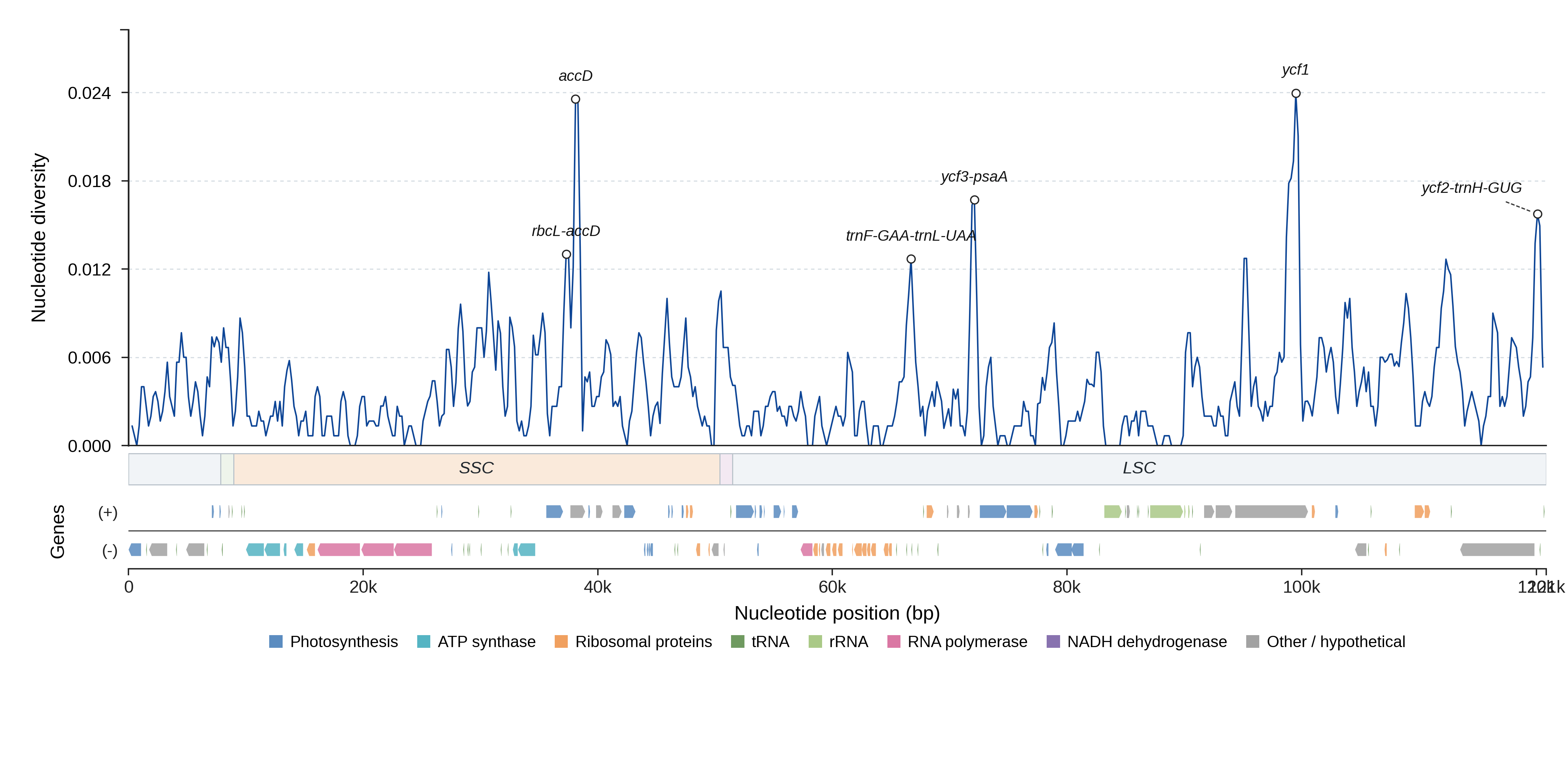 Sliding-window nucleotide diversity