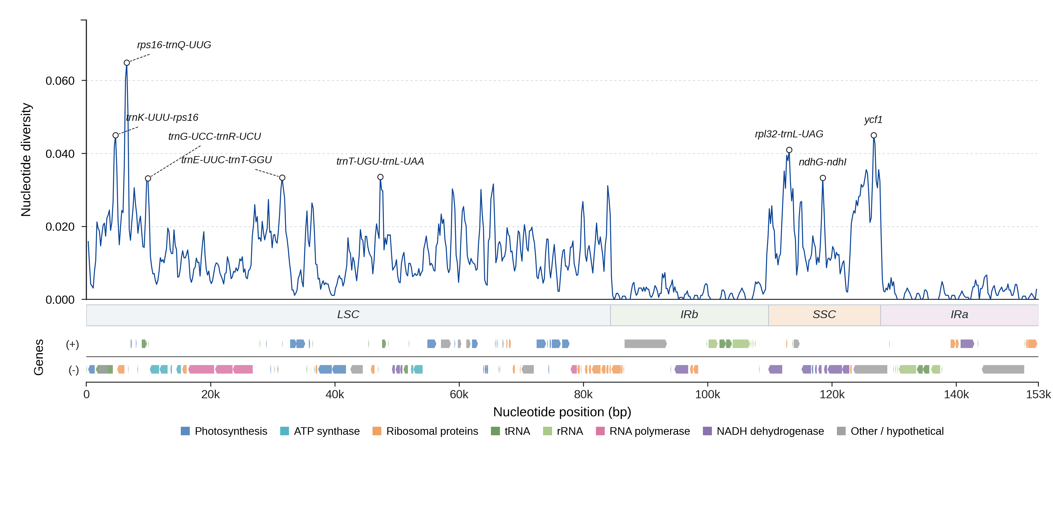 Sliding-window nucleotide diversity
