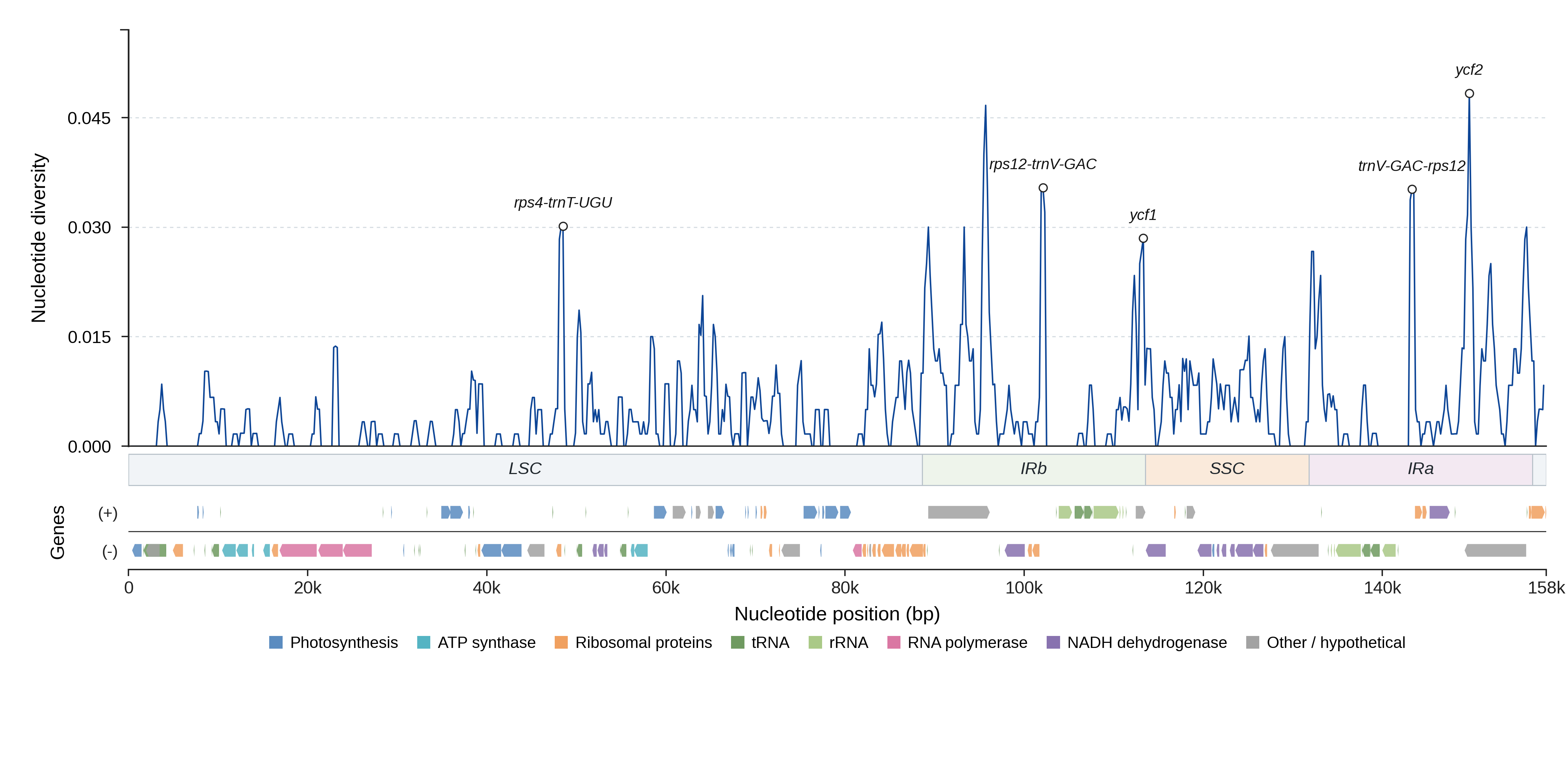Sliding-window nucleotide diversity