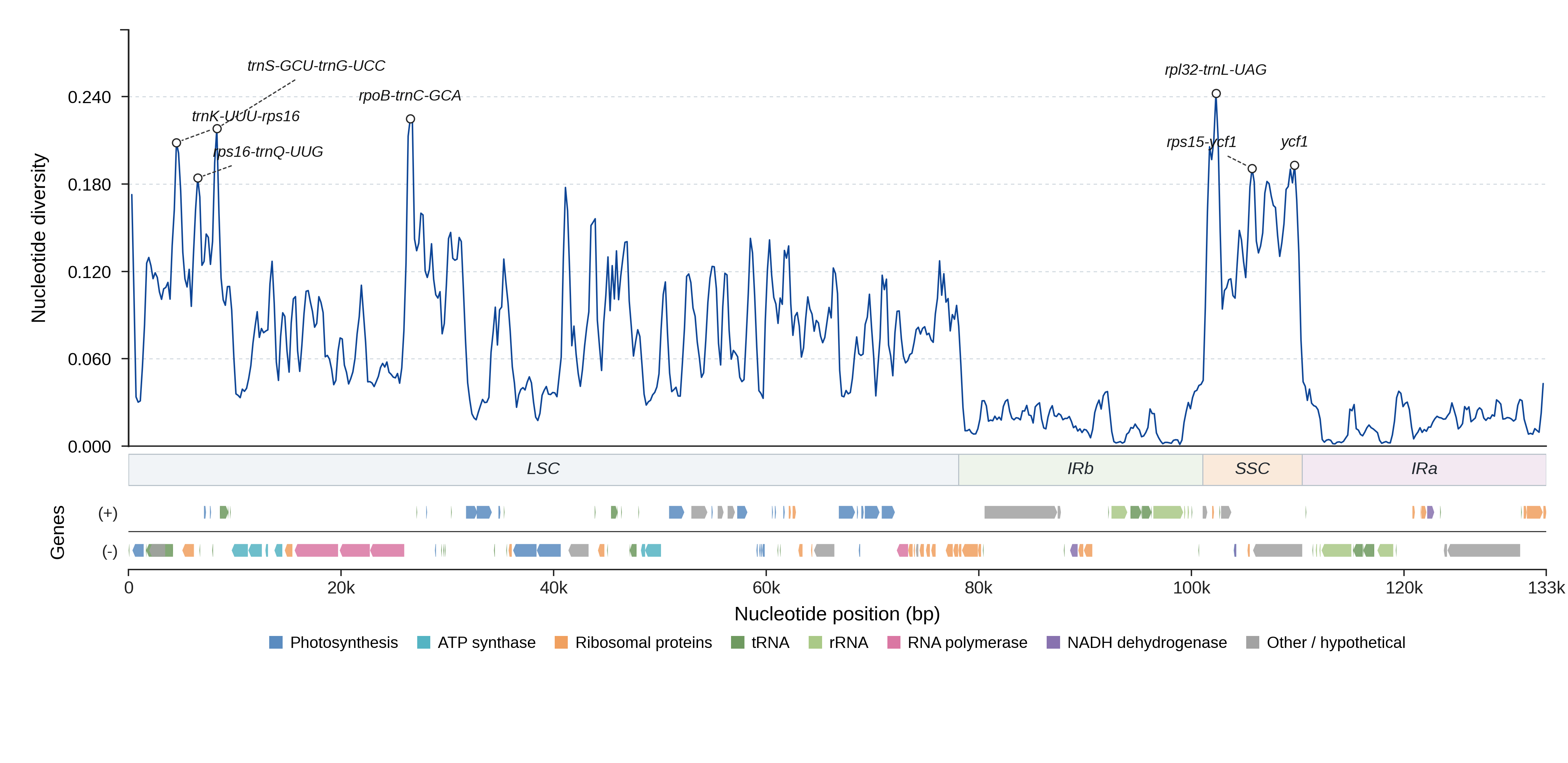 Sliding-window nucleotide diversity