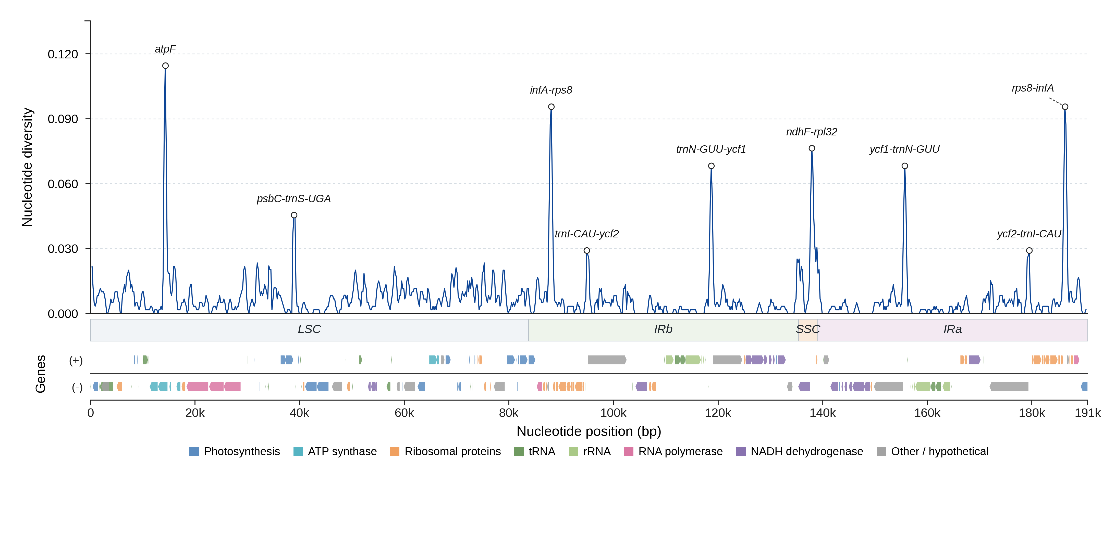 Sliding-window nucleotide diversity
