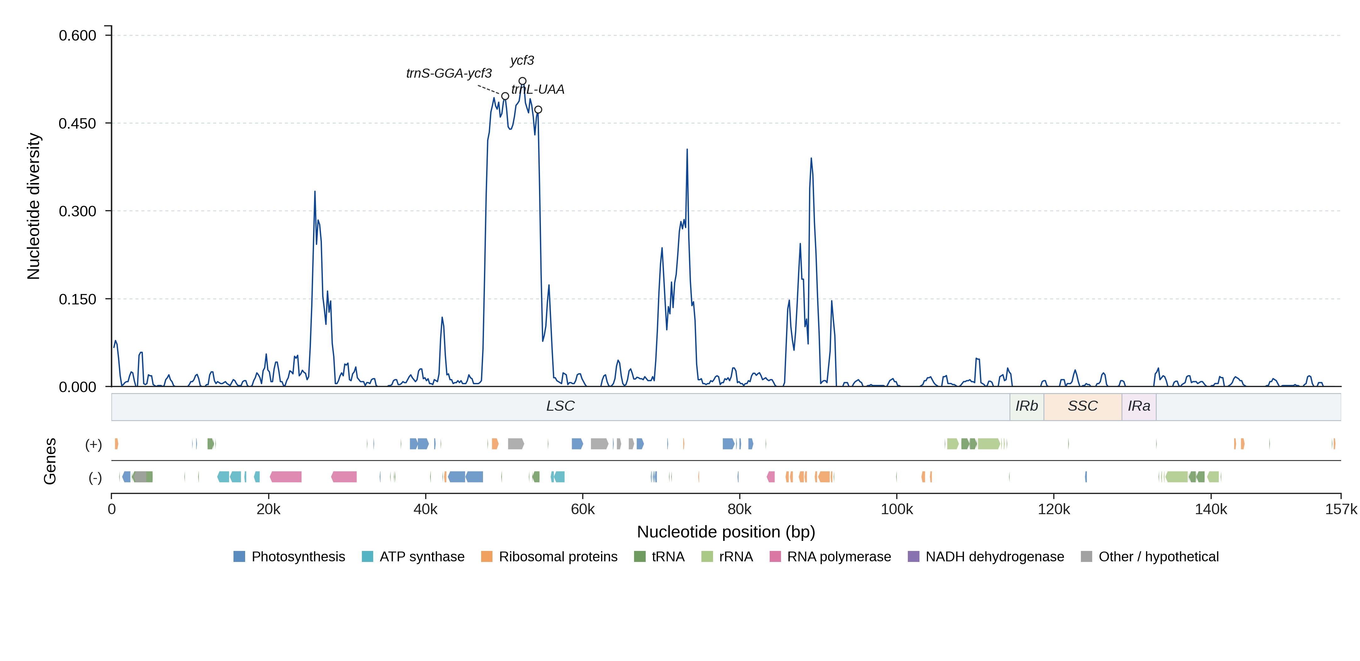 Sliding-window nucleotide diversity