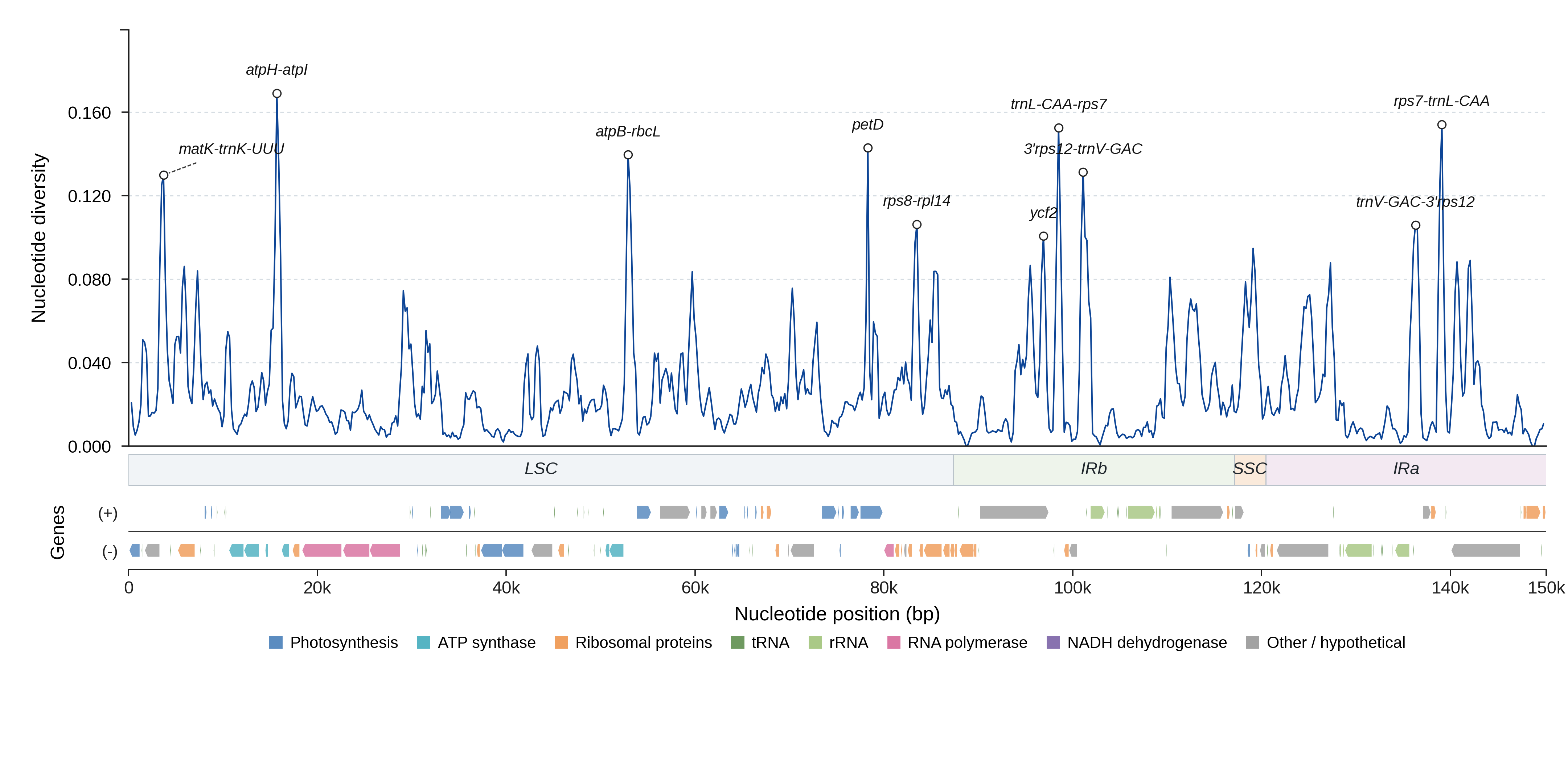 Sliding-window nucleotide diversity