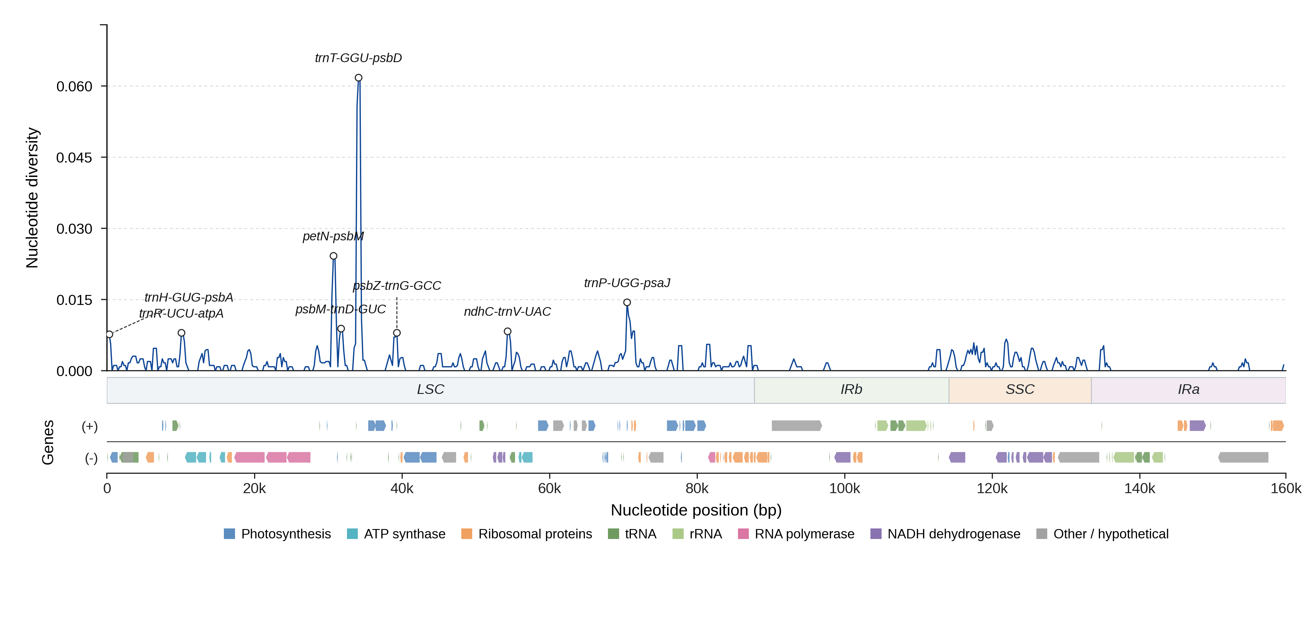 Sliding-window nucleotide diversity