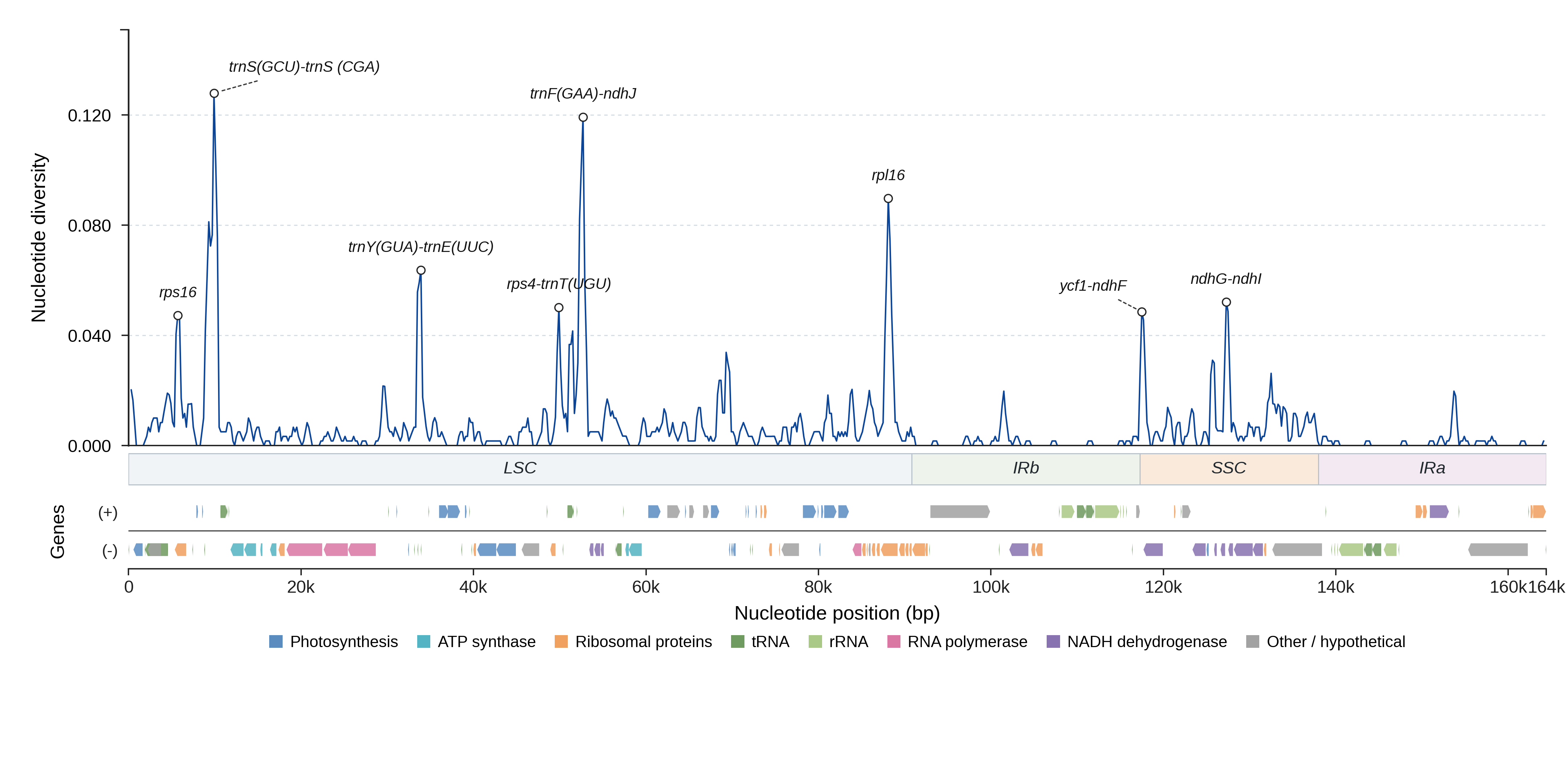 Sliding-window nucleotide diversity